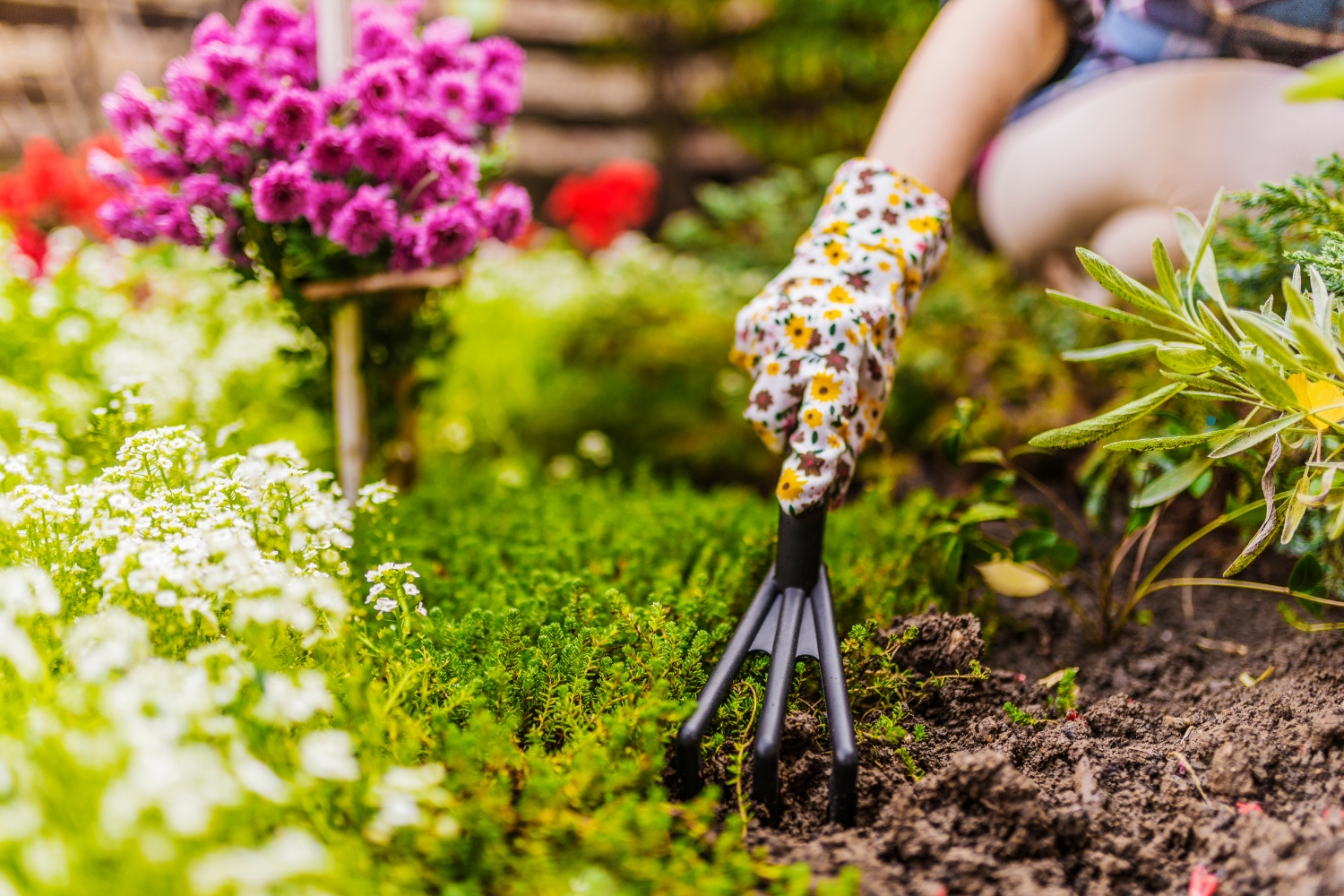 When to Plant: Your Seasonal Success Guide