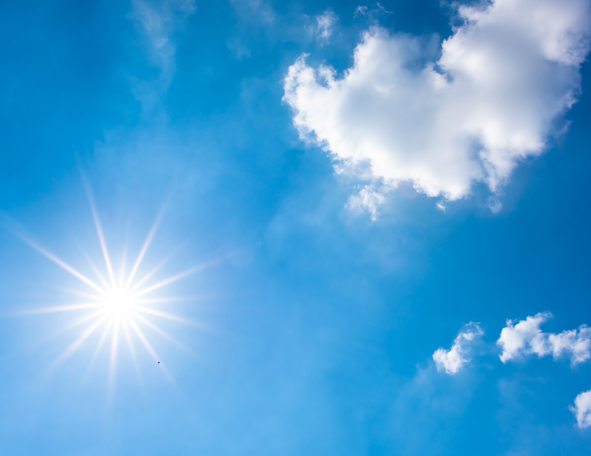 The July Garden Slump