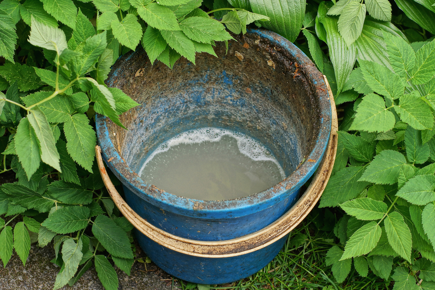 a bucket of soapy water