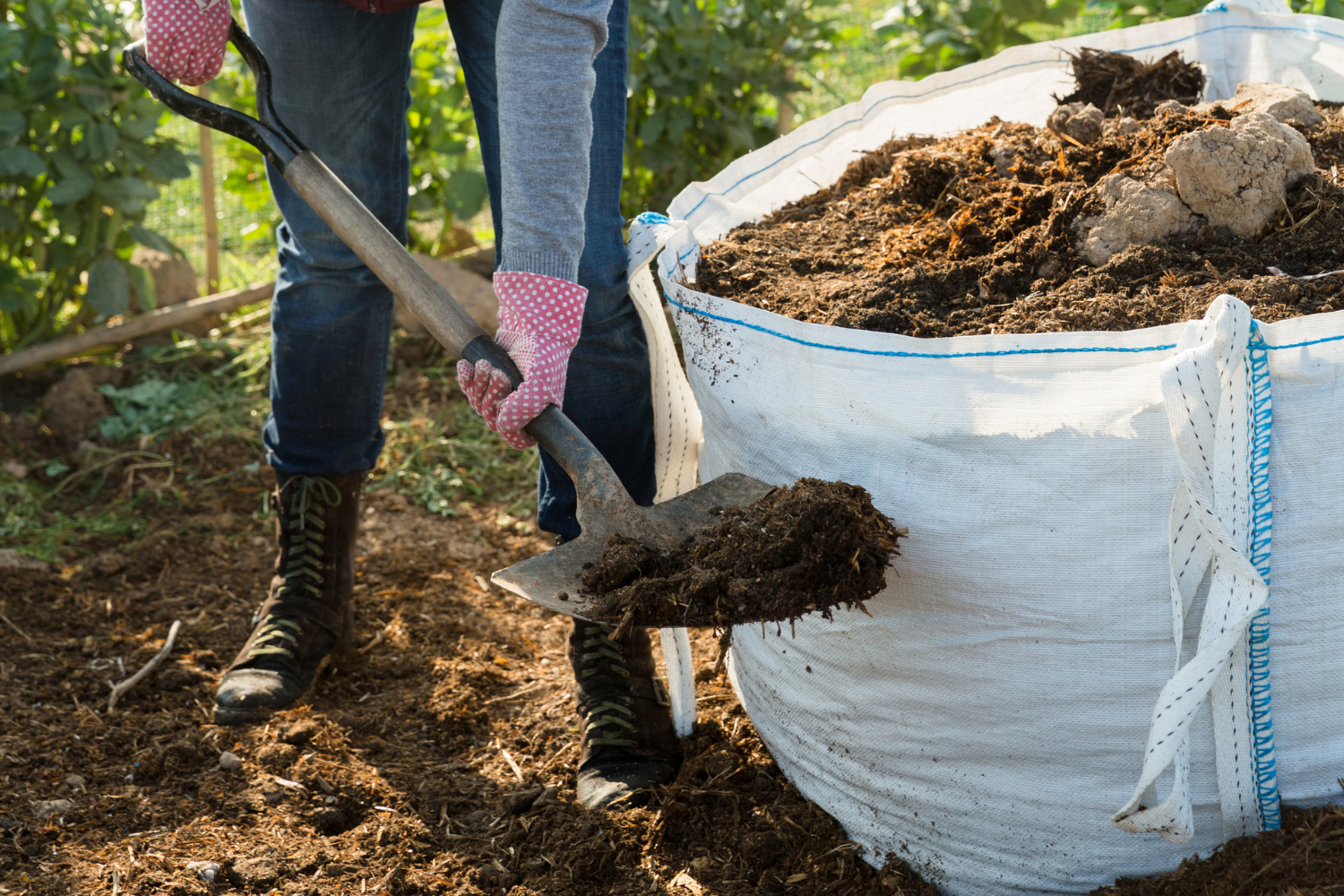 shoveling compost onto garden bed