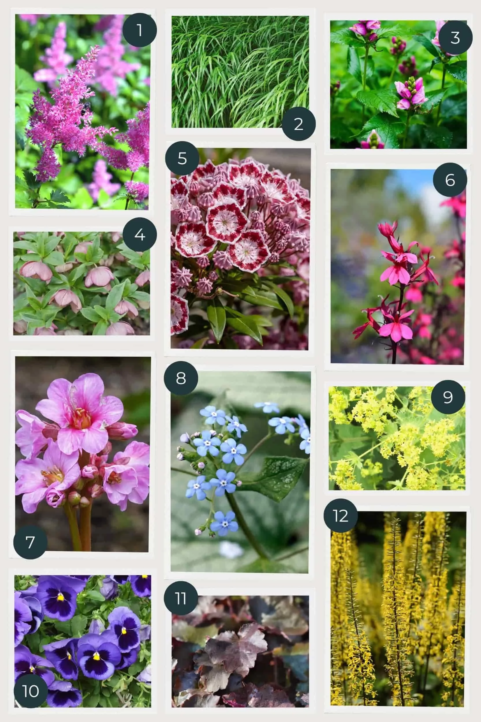A plant list for three seasons of color