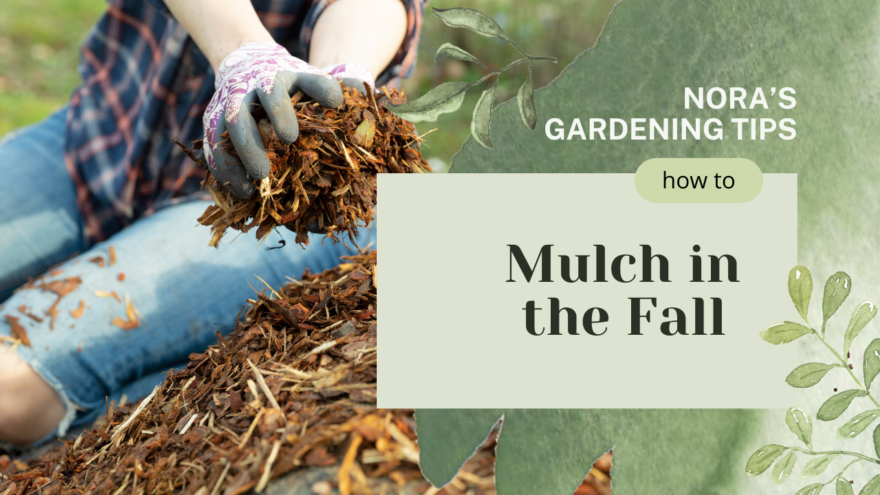 Mulch in the Fall Thumbnail (1).png