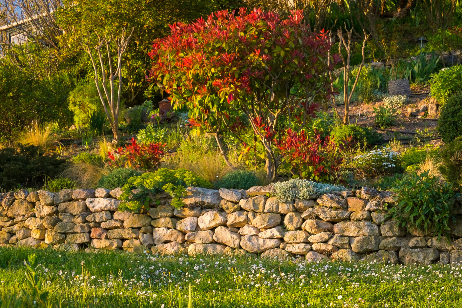 How to Plant on a Slope — Gardenette | Garden designs for DIYers in WNY, image size:1500x1000