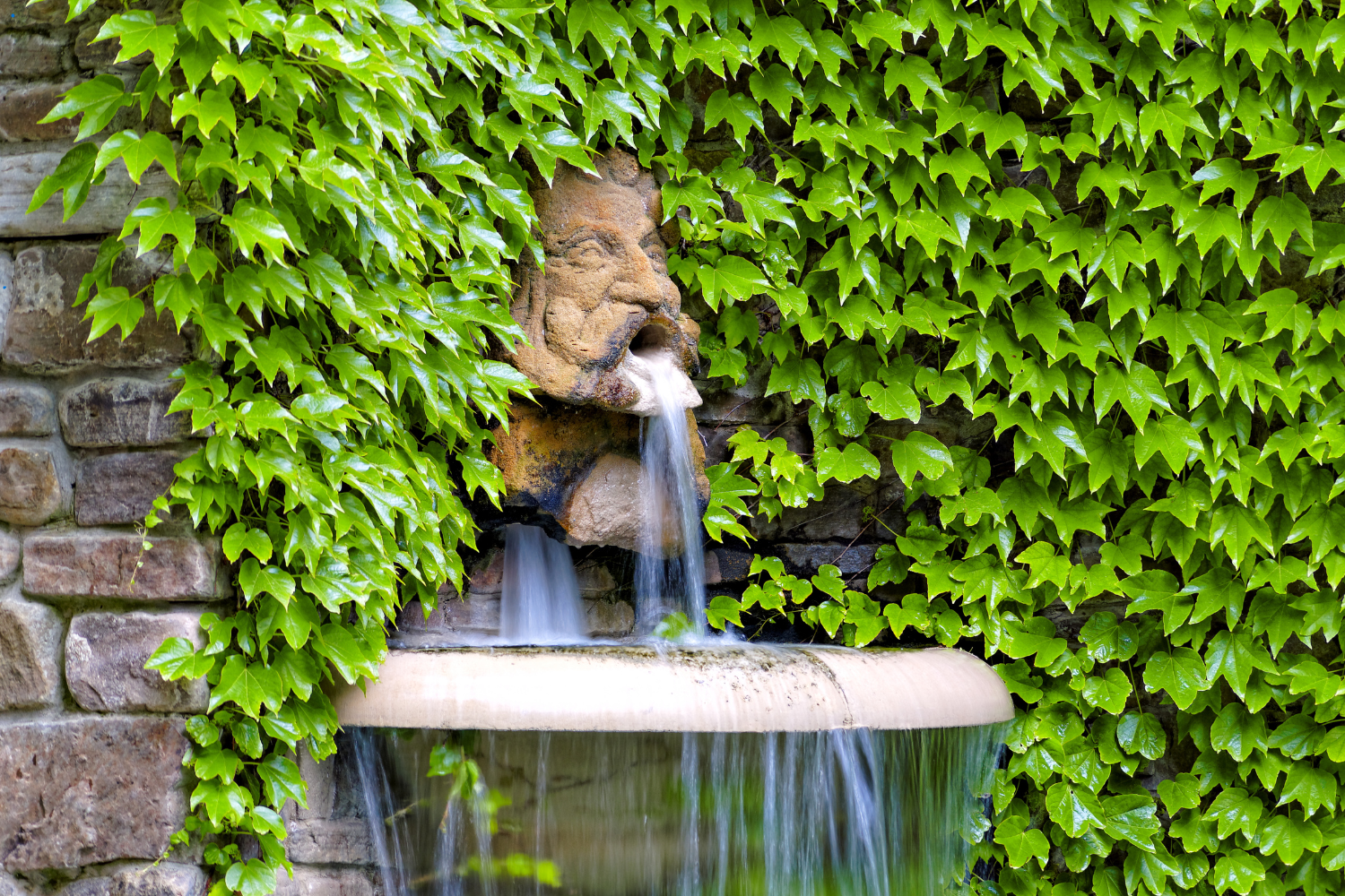 garden fountain with ivy