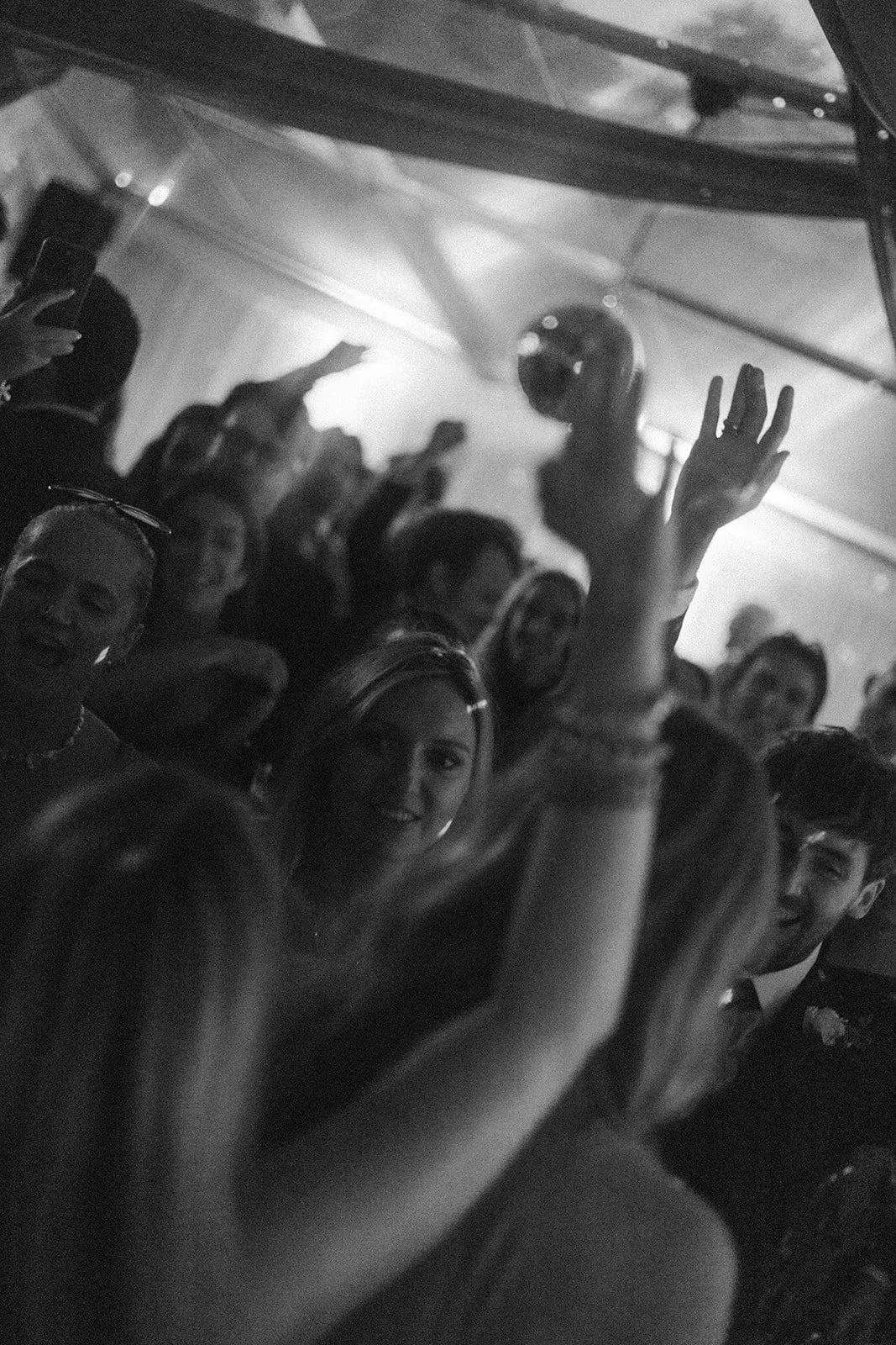 People dancing and having fun at a party or nightclub, with one person holding a disco ball and arm raised, in a lively, energetic atmosphere.