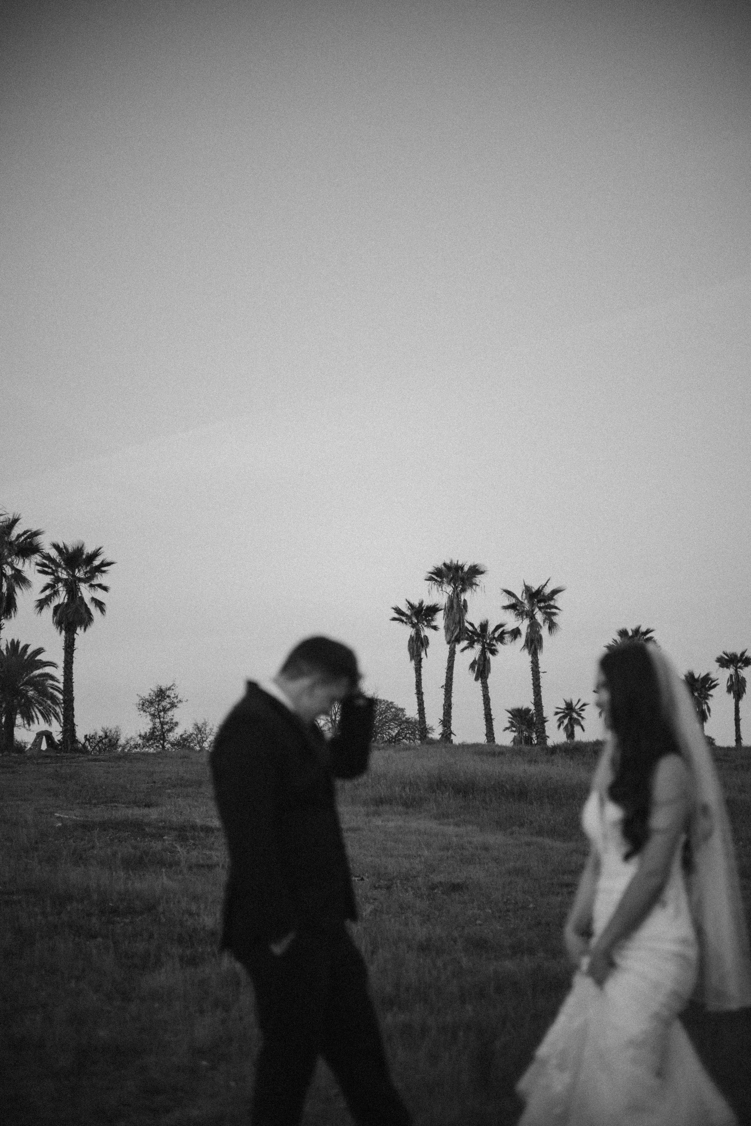 Black and white photo of a man in a suit and a woman in a wedding dress standing outdoors with palm trees in the background.