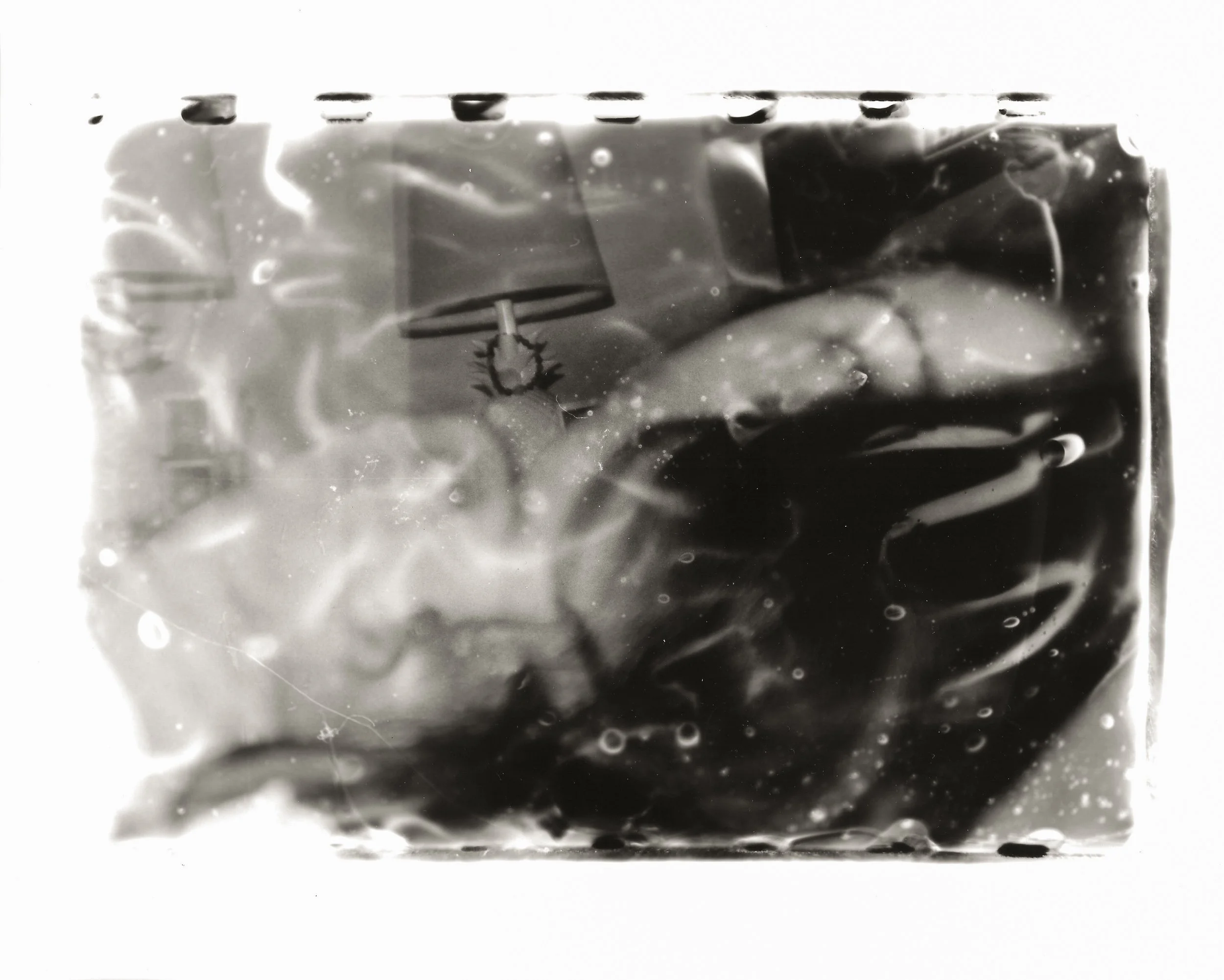 Glue - Lomography me.jpg