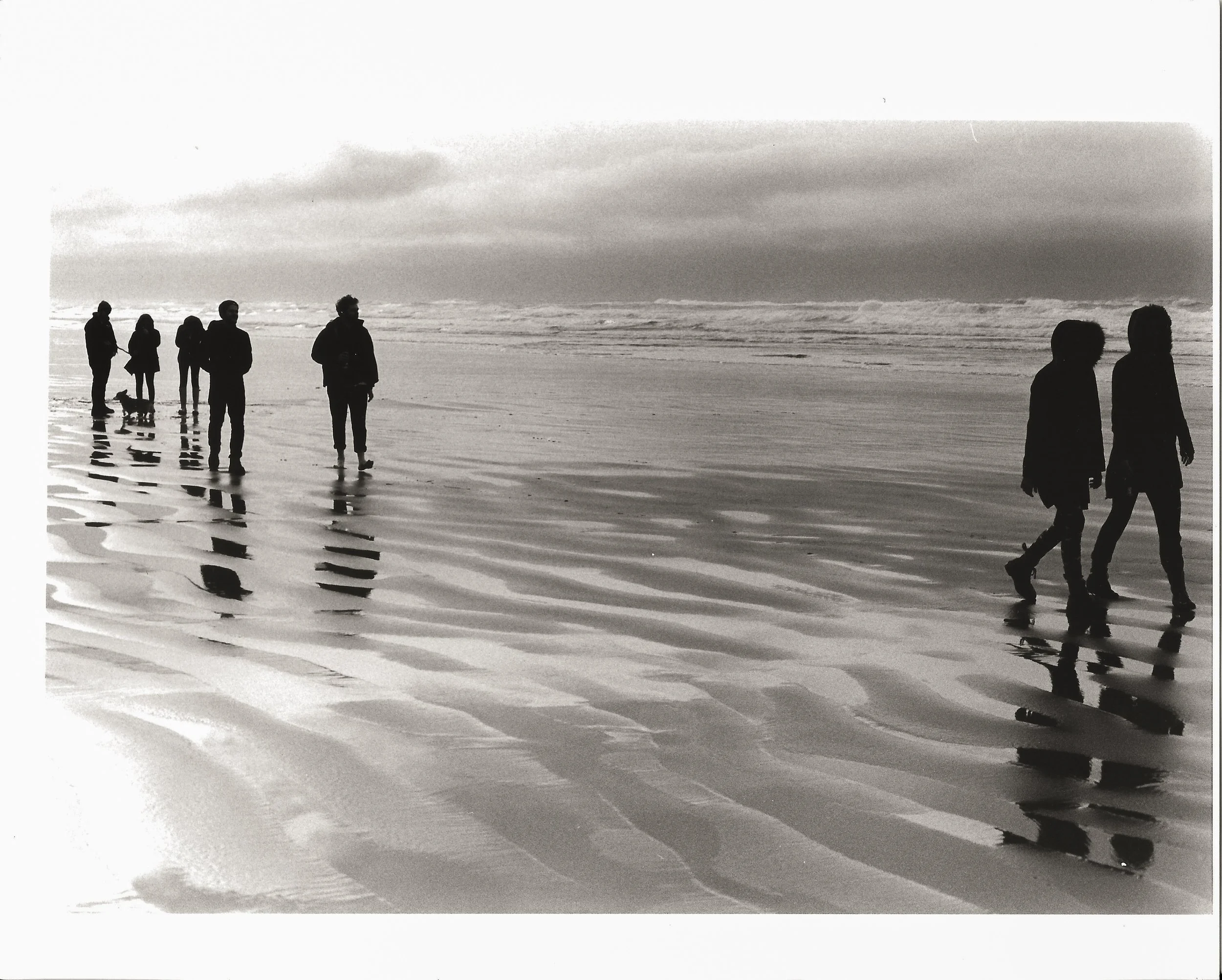 Sabbatier - Cannon Beach Original.jpg