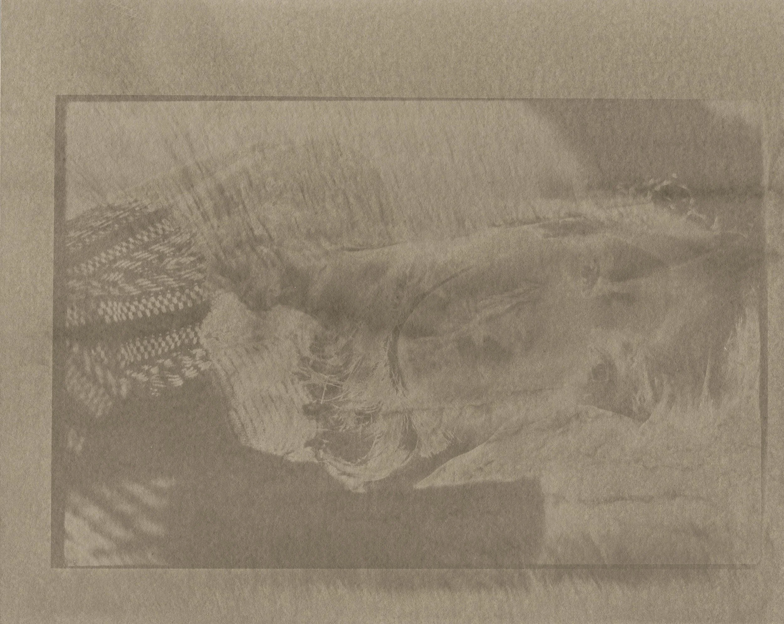 Sabbatier - Self-Portrait Sab 2.jpg