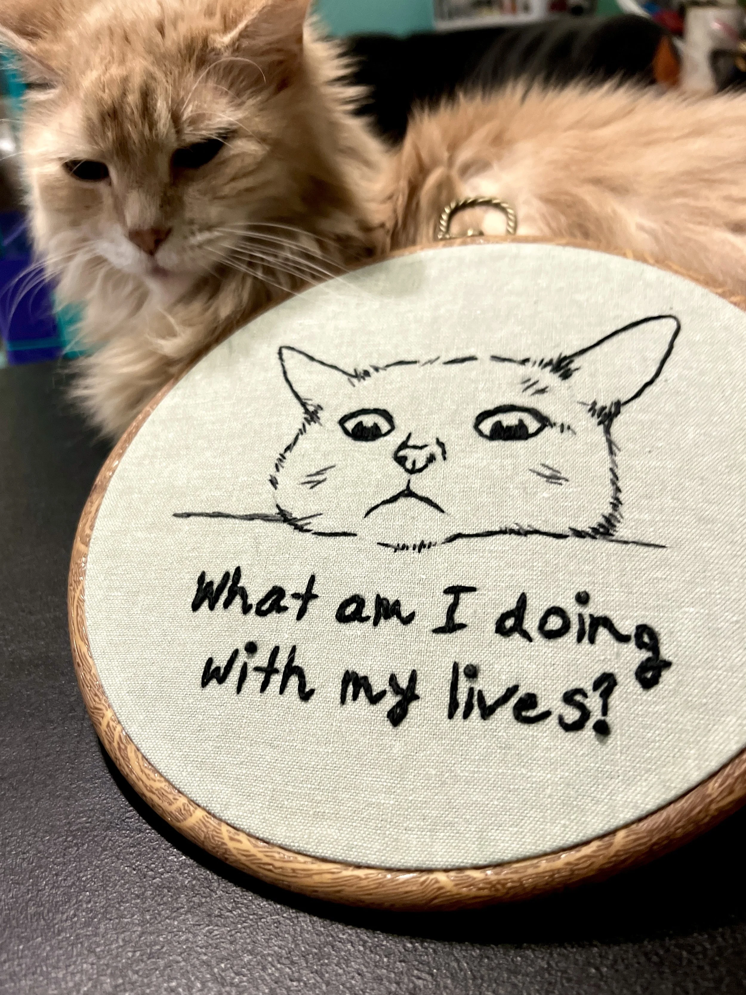Cat Lives Embroidery 2.jpg