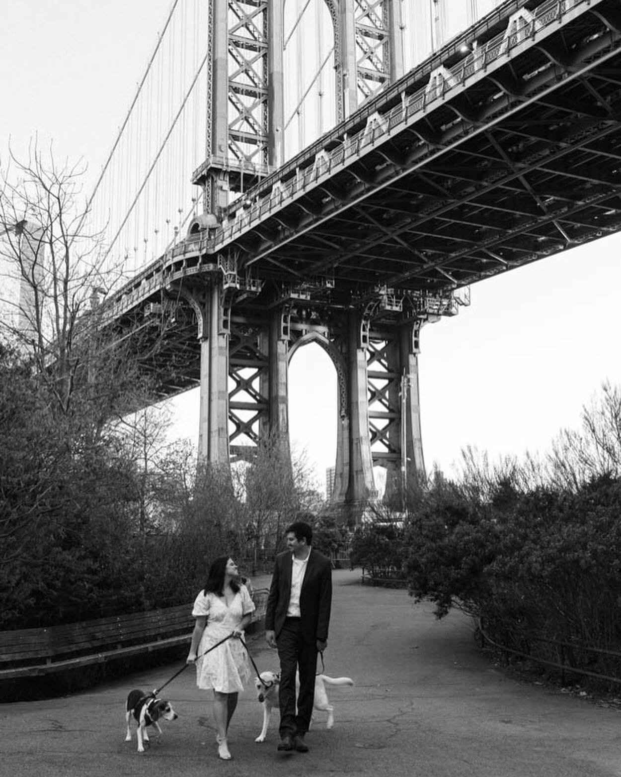 Just a few weeks until we get to do this all over again (but add a whole wedding) in Louisville! Loved this engagement session with Maggie and Trevor (and their babies) - we had a perfect NY day that began with a picturesque Brooklyn sunrise and ende