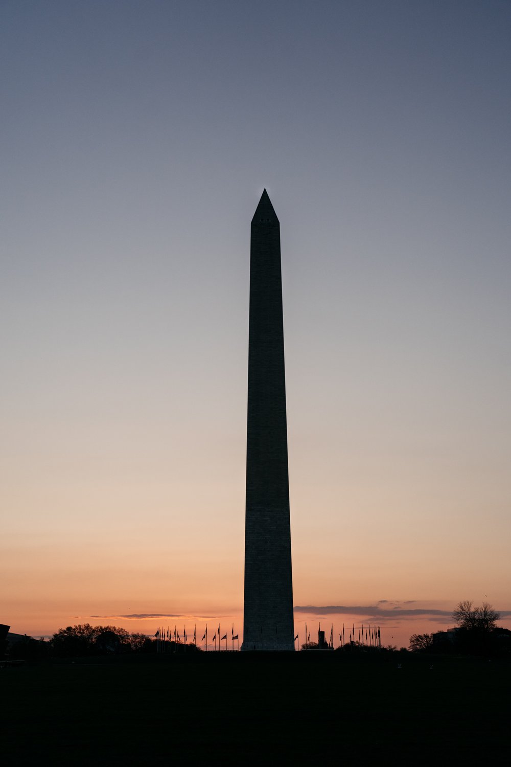 DC-cherryblossom-engagement-photogrpaher-leslie-rodriguez-photography-10.jpg