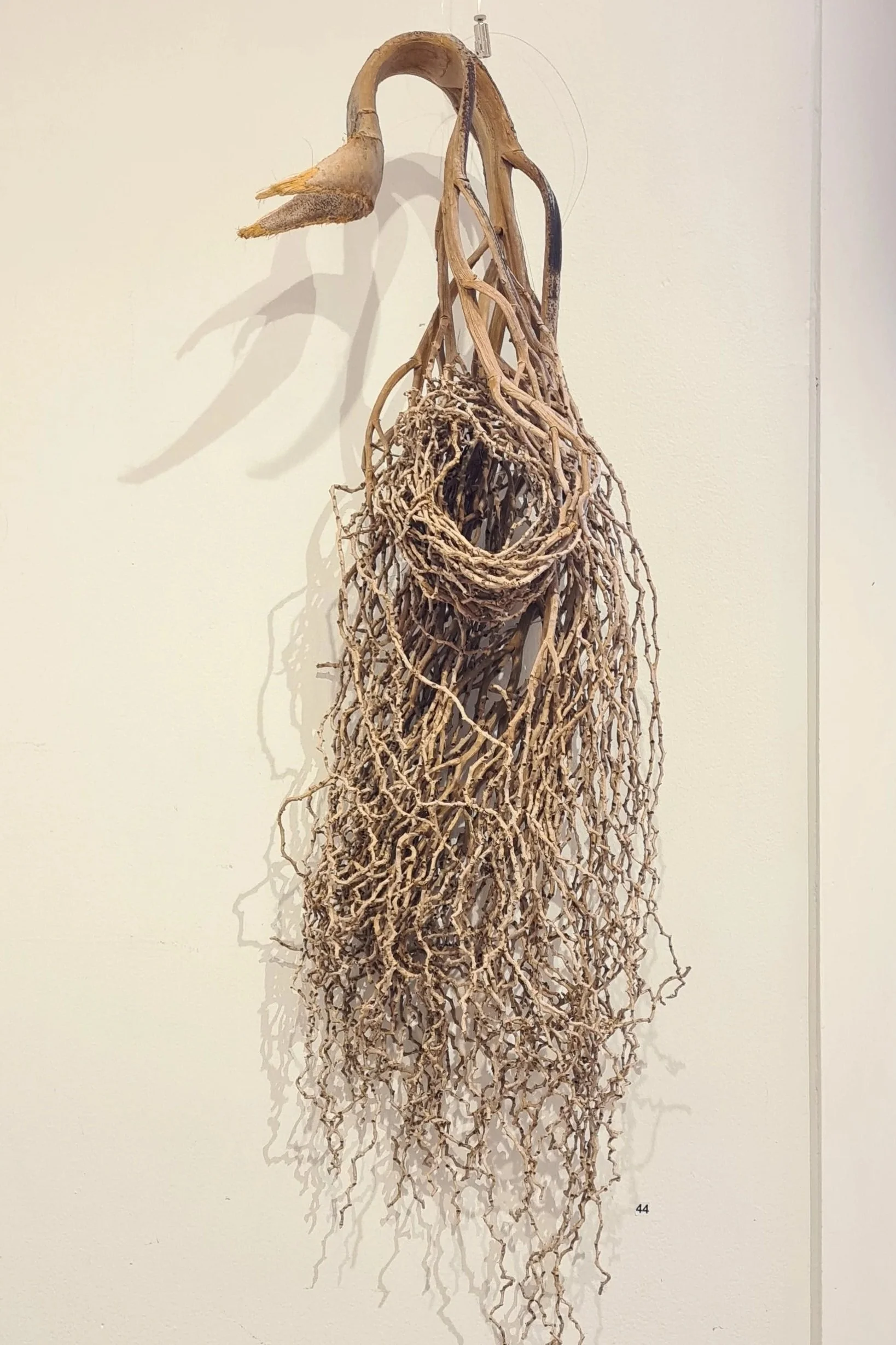 New Life by Sarah Norton