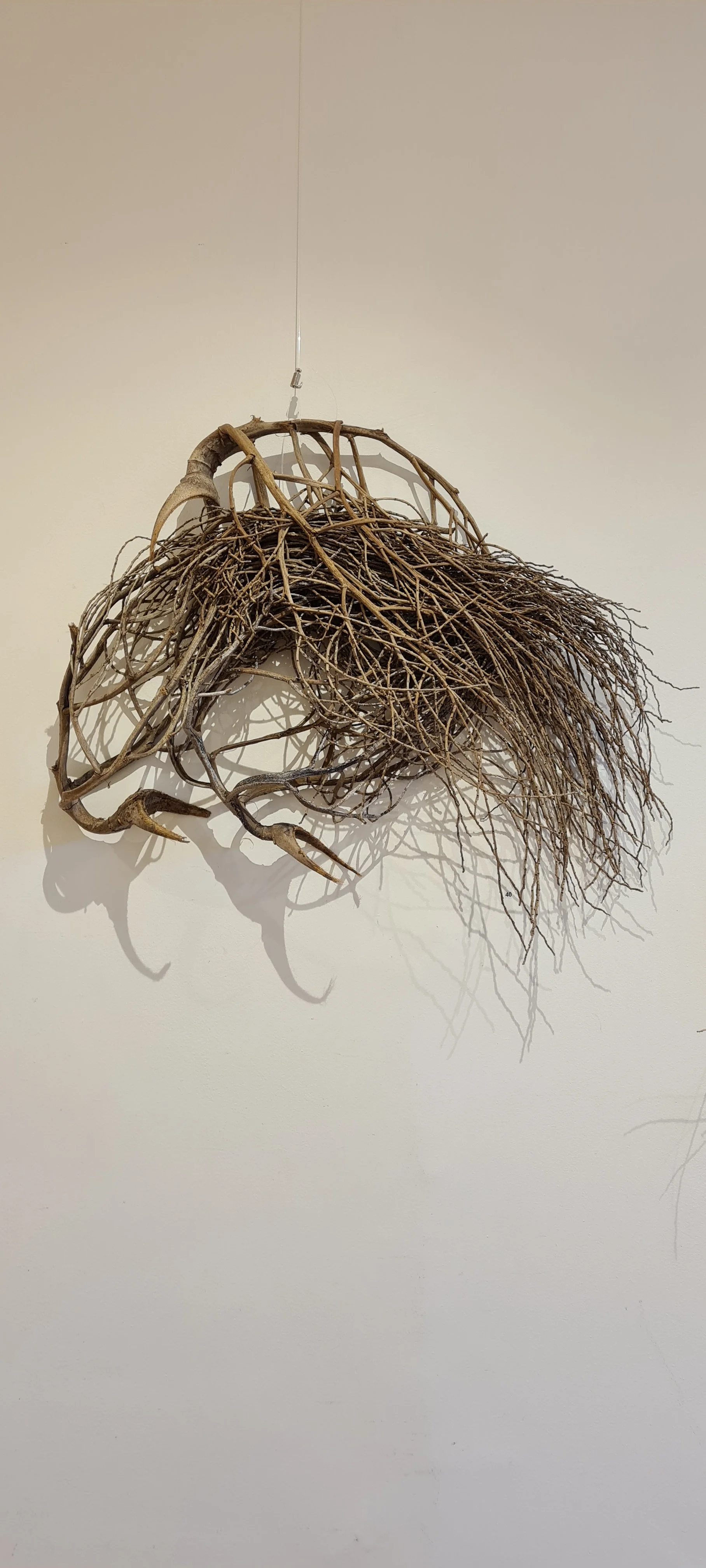 Storm Nest by Sarah Norton