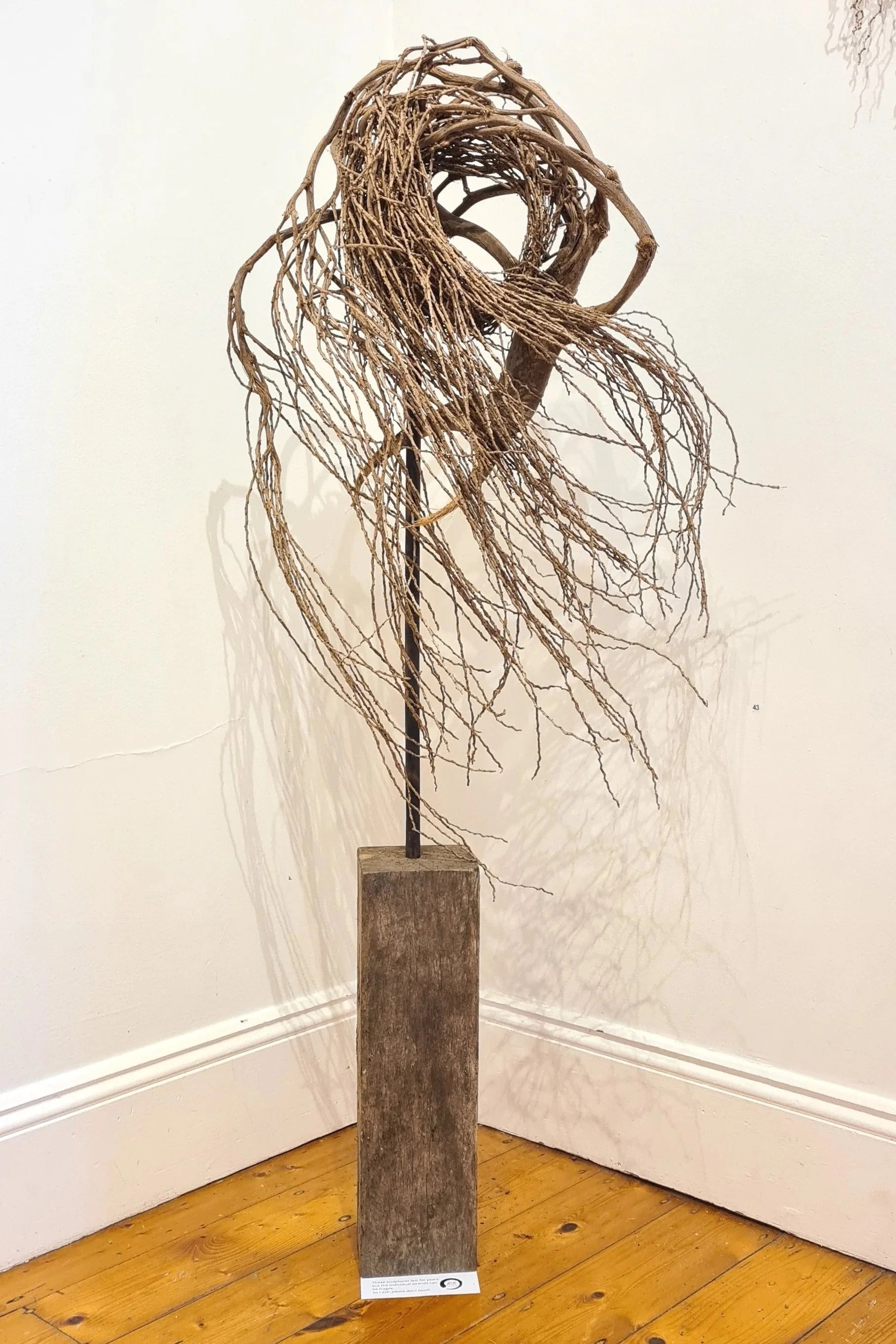 Vessel of Returning by Sarah Norton