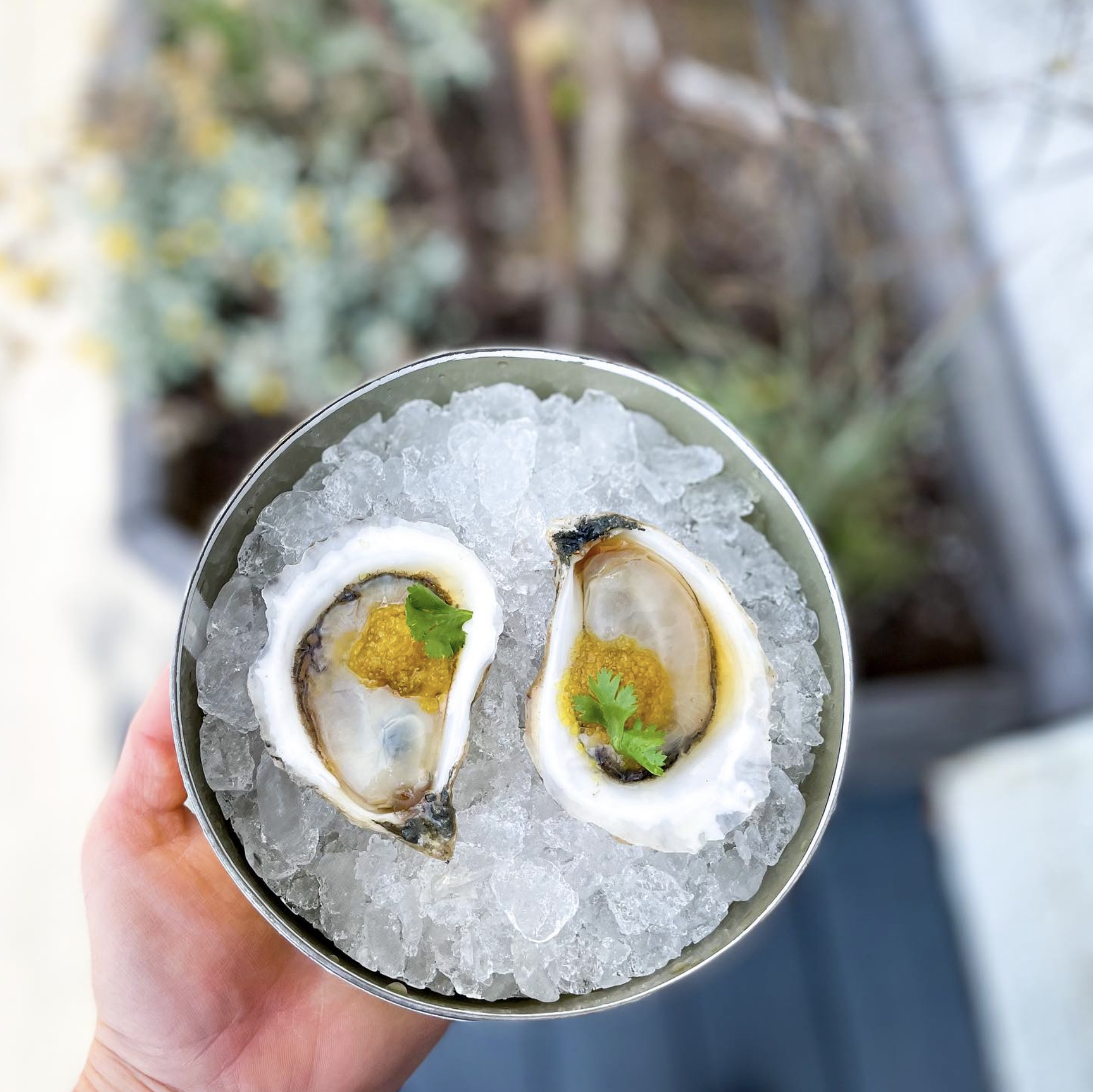 Screen Shot 2023-11-01 at 11.54.16 AM.png