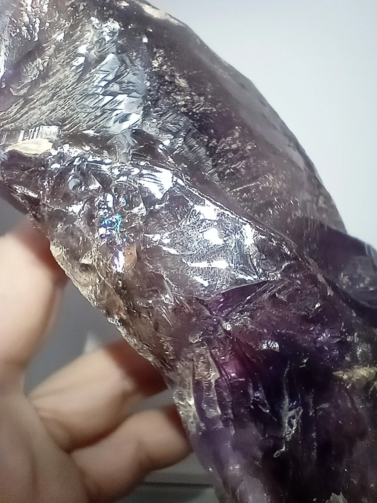 20251010_110845.jpg