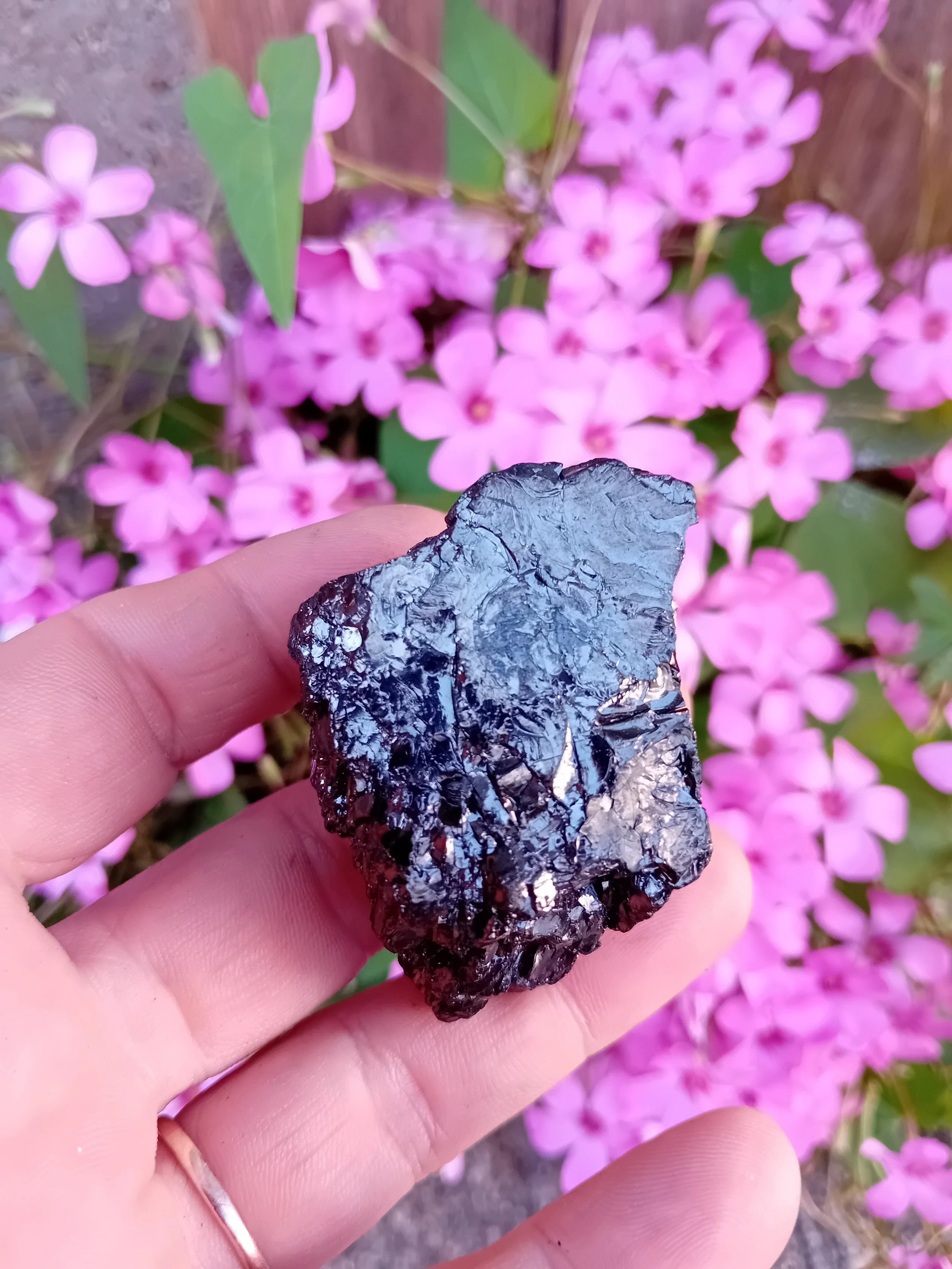 Shungite Elite, Silver, Type1 (Copy)