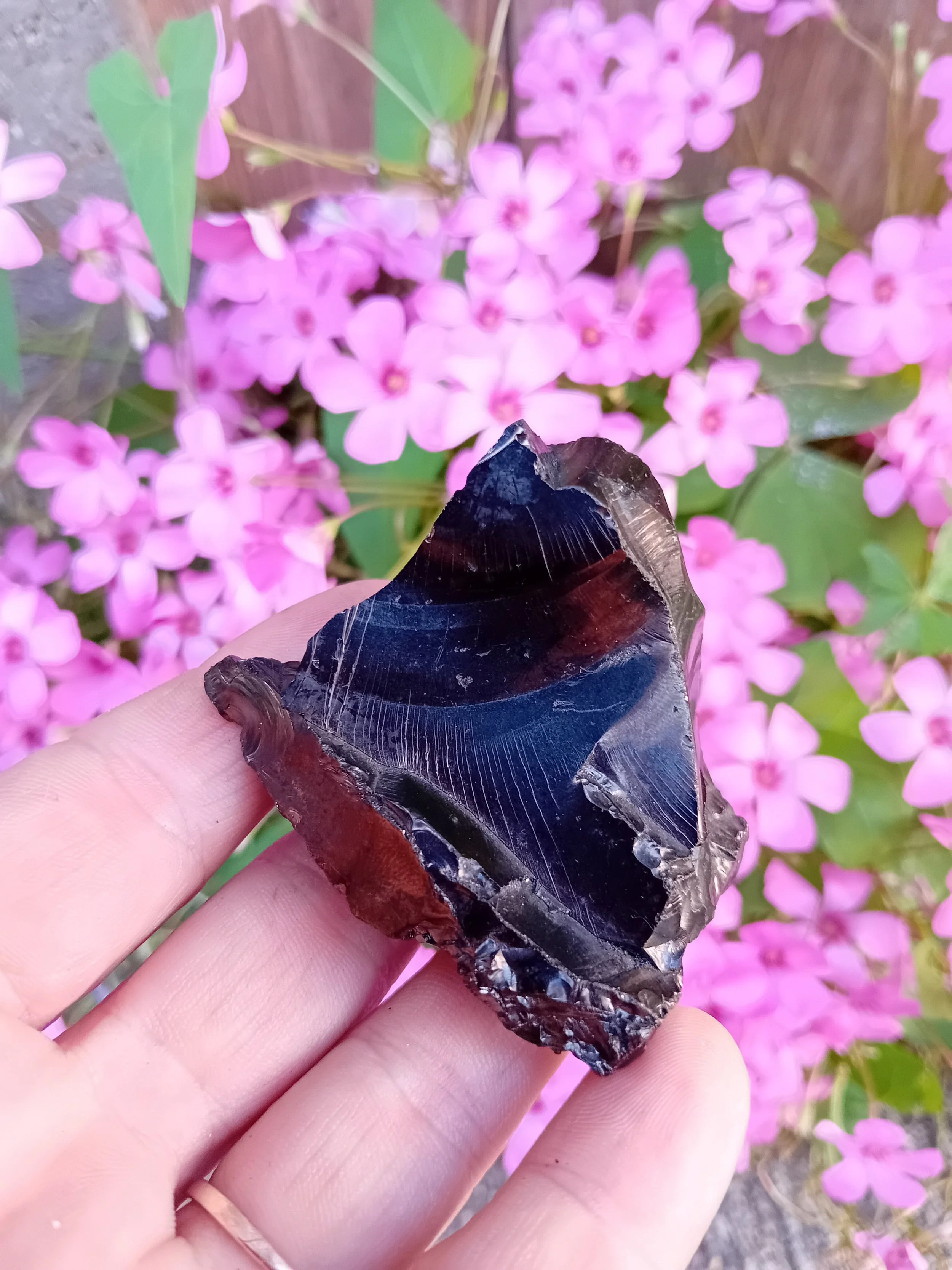 Shungite Elite, Silver, Type1