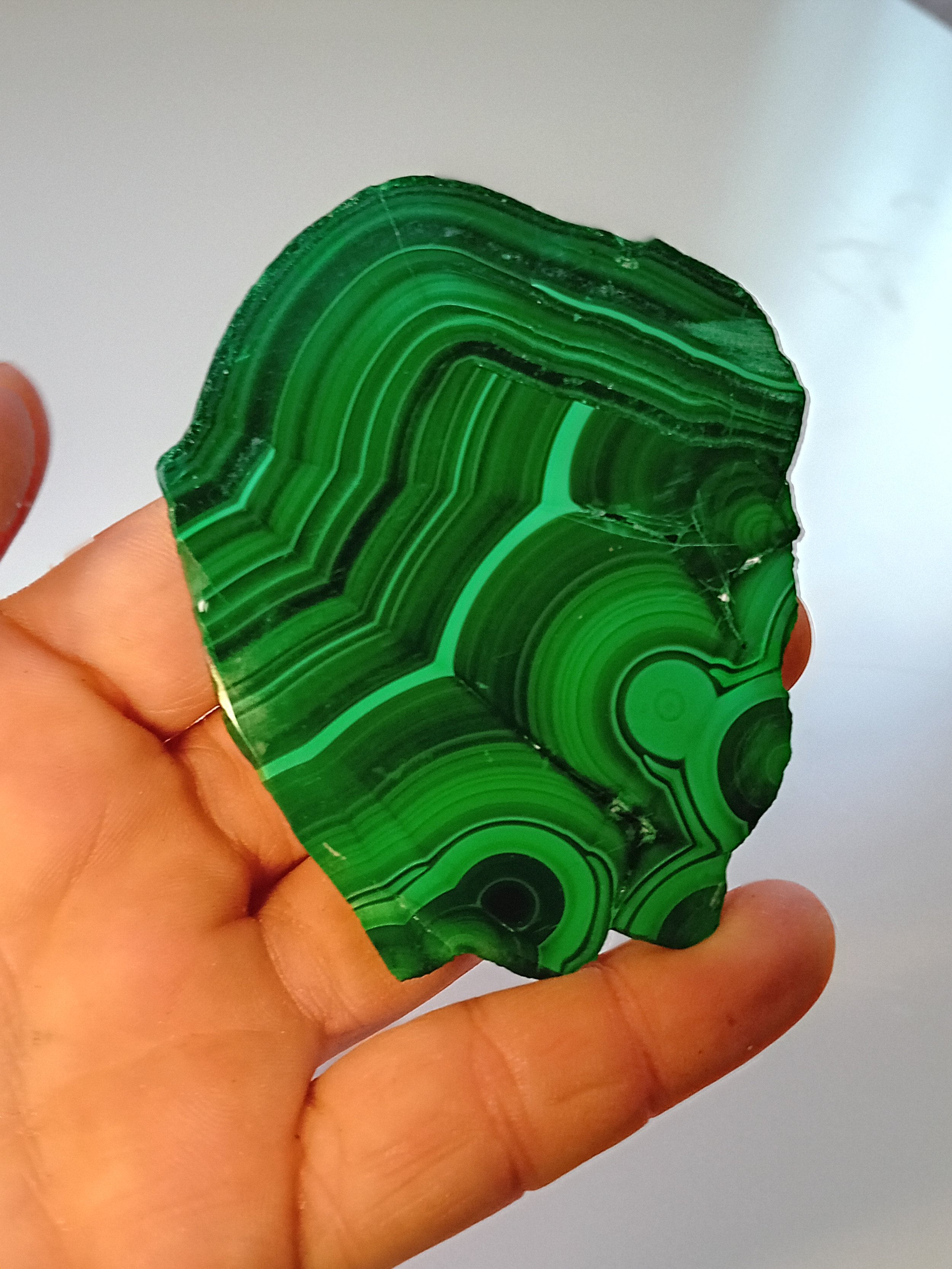 20250313_135731.jpg