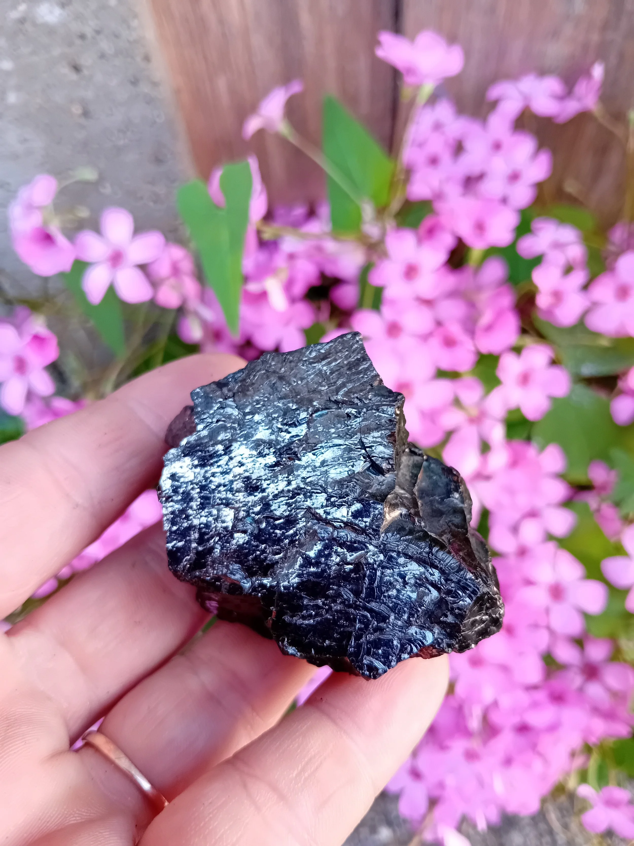 Shungite Elite, Silver, Type1