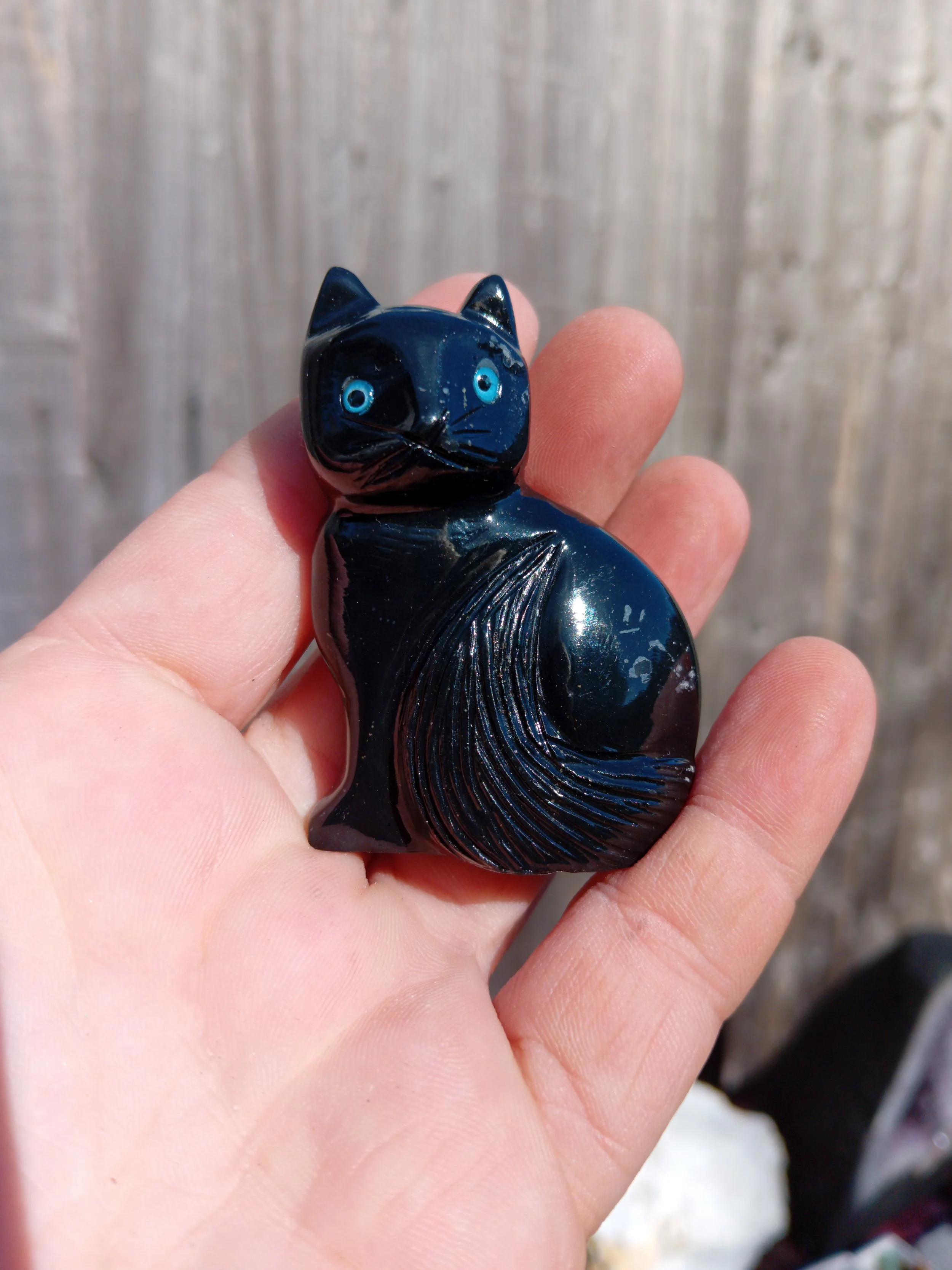 Obsidian cat