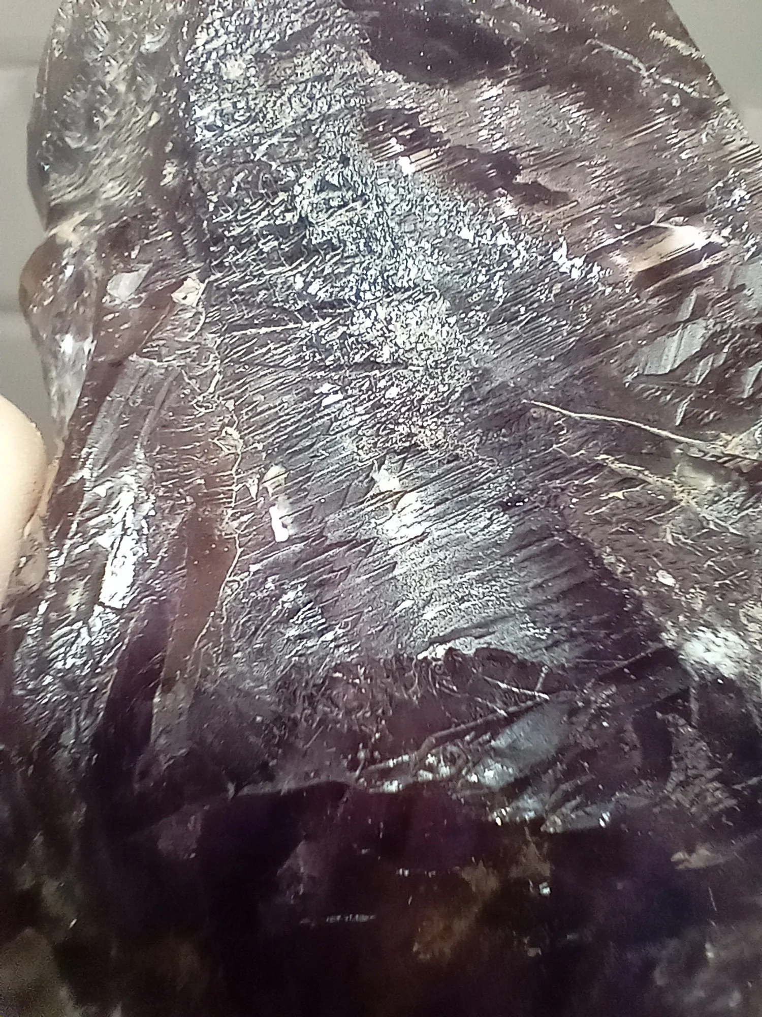 20251010_110934.jpg