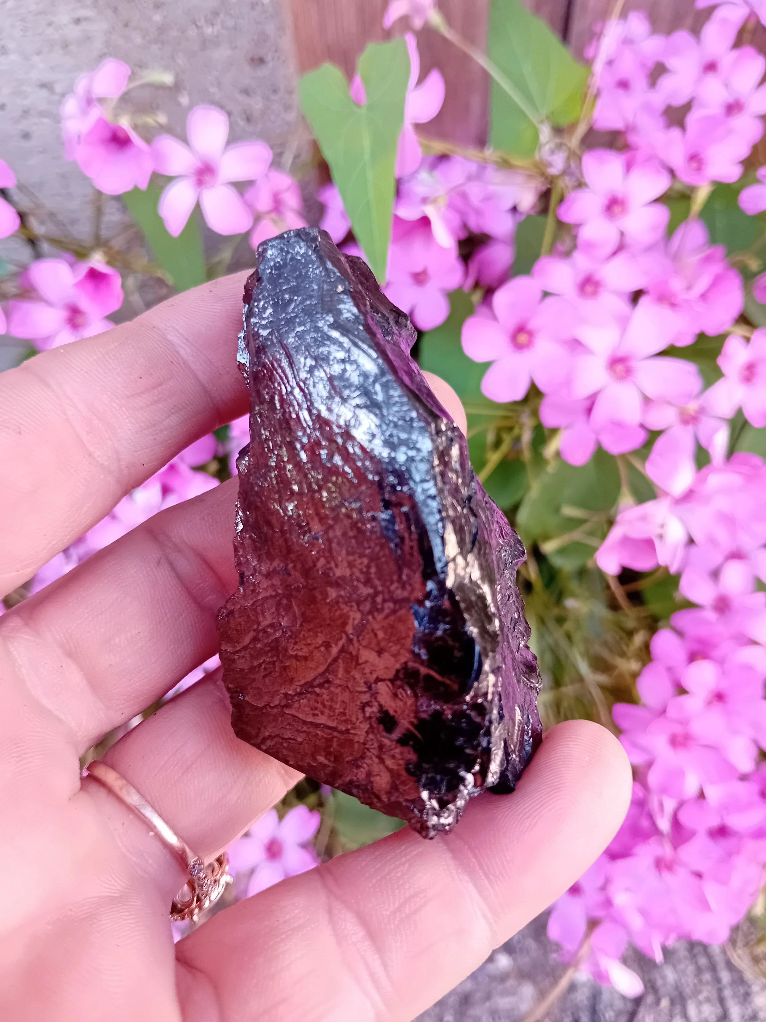 Shungite Elite, Silver, Type1