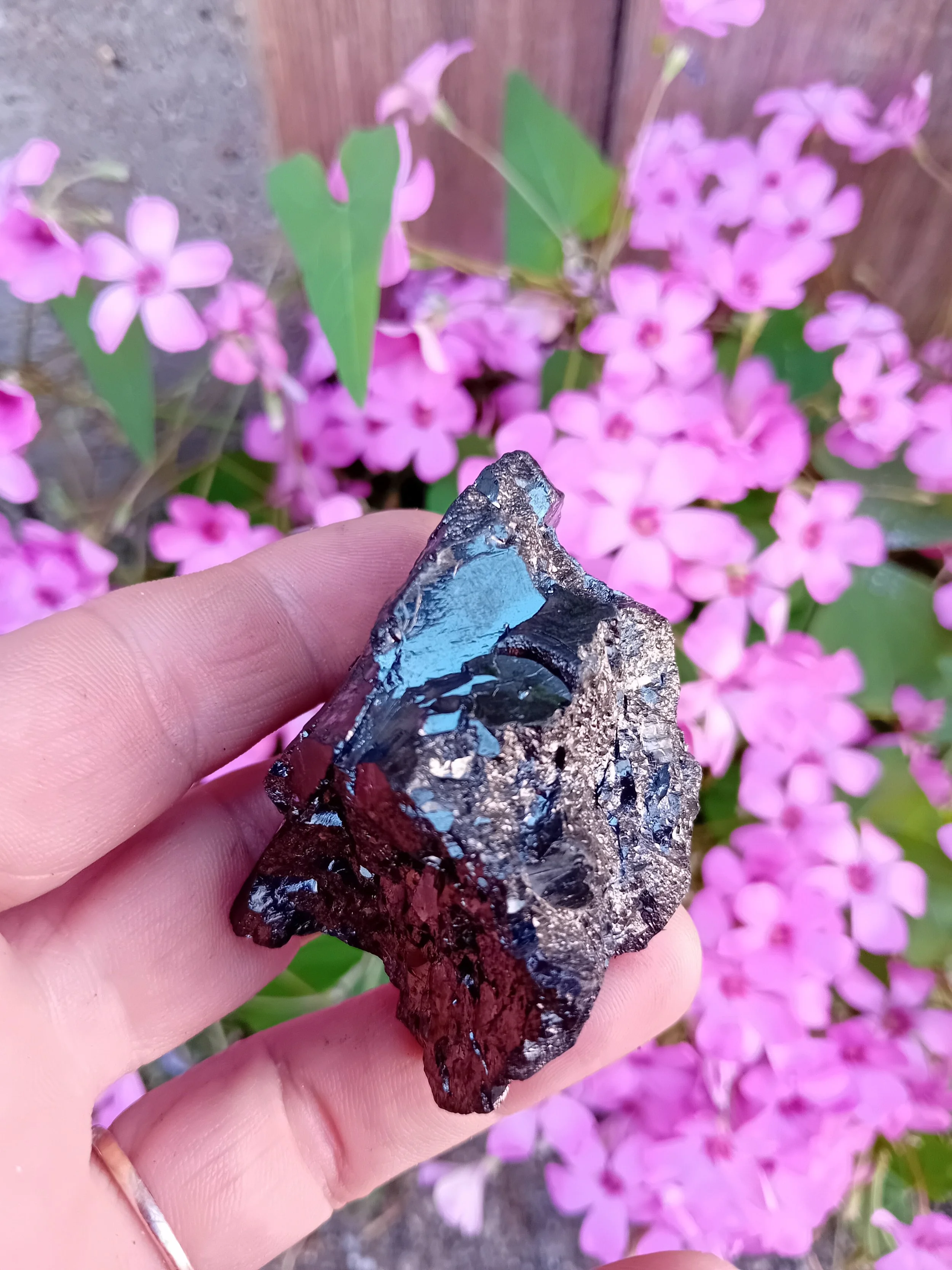 Shungite Elite, Silver, Type1