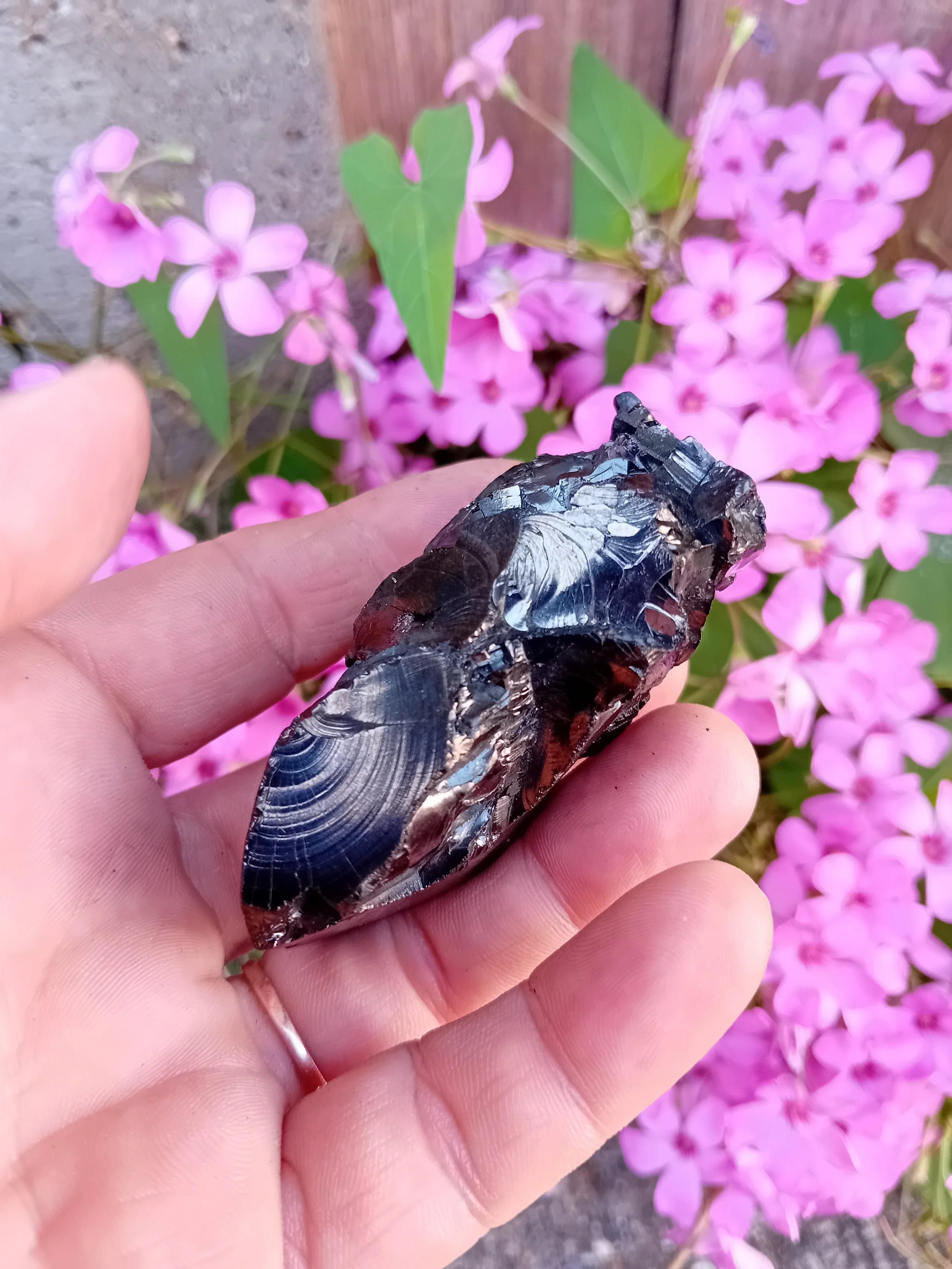 Shungite Elite, Silver, Type1