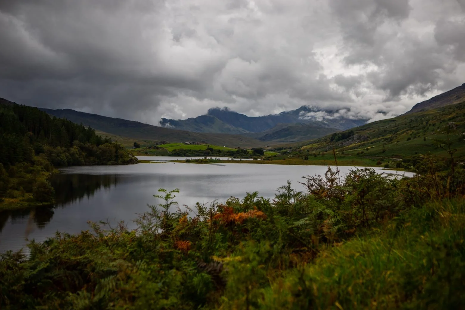 WhatsApp Image 2024-09-03 at 18.09.54.jpeg