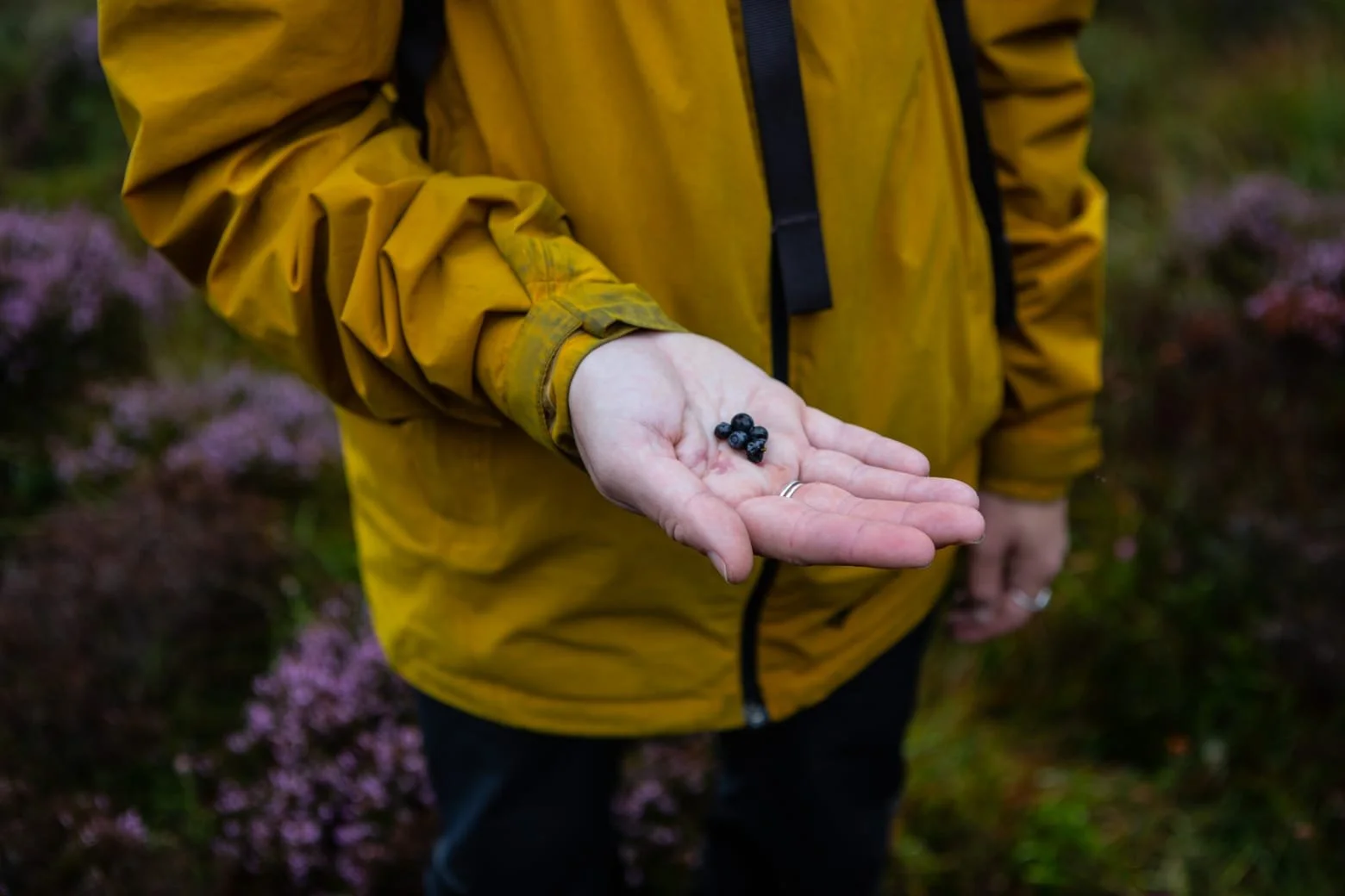 WhatsApp Image 2024-09-03 at 18.09.58.jpeg