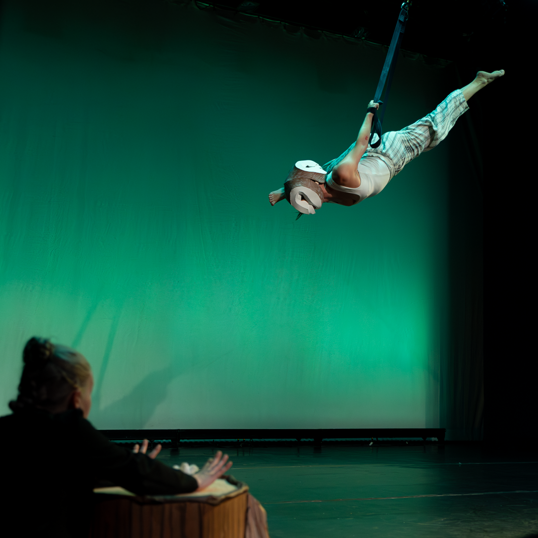 credit Cal O'Brien (old growth aerial).png