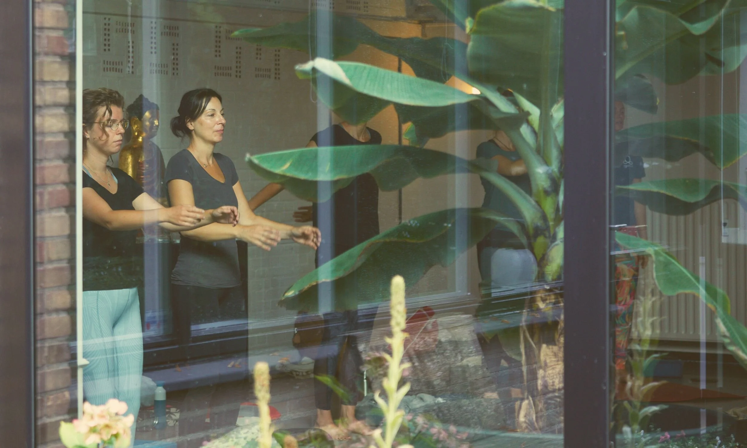 Workshop | Body Wisdom Awareness, The Basics