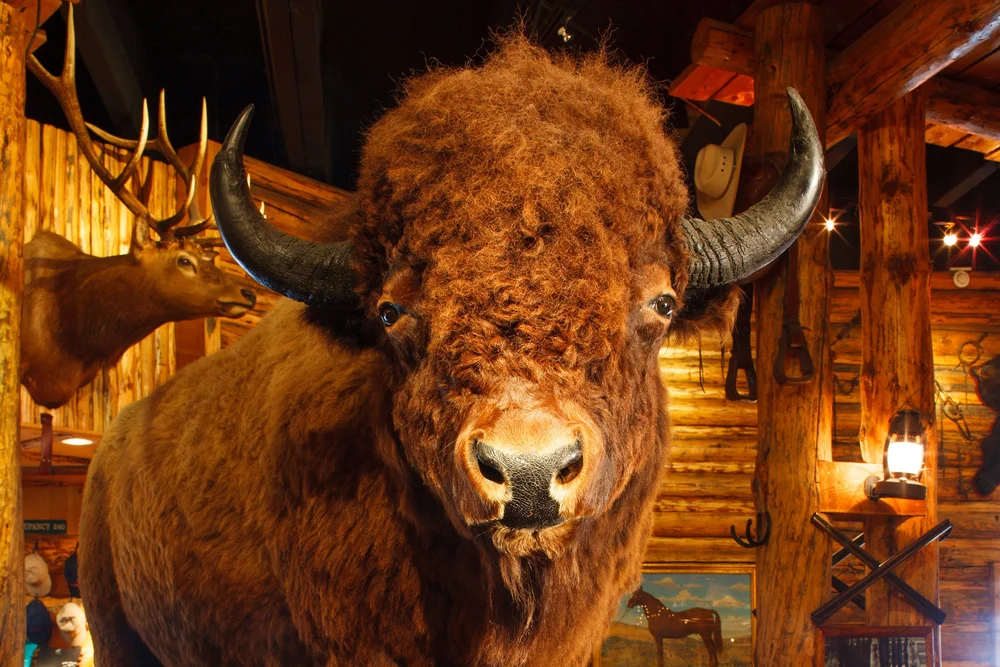 Gun Barrel Jackson: Forging Precision and Power in American Firearms Craftsmanship