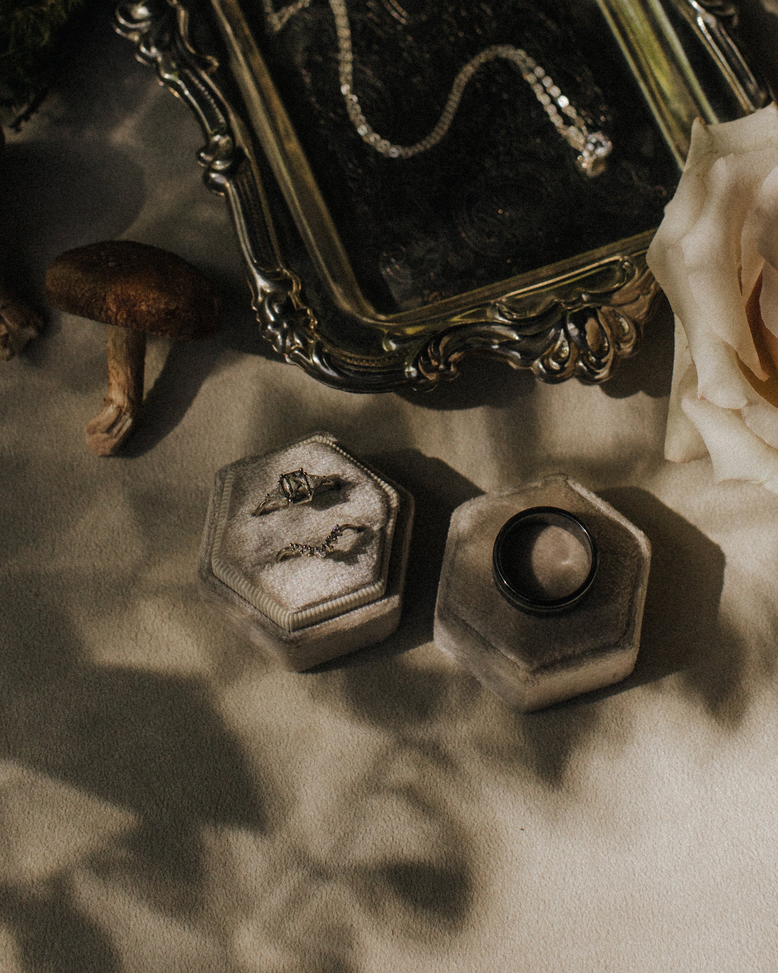 previews-2.jpg
