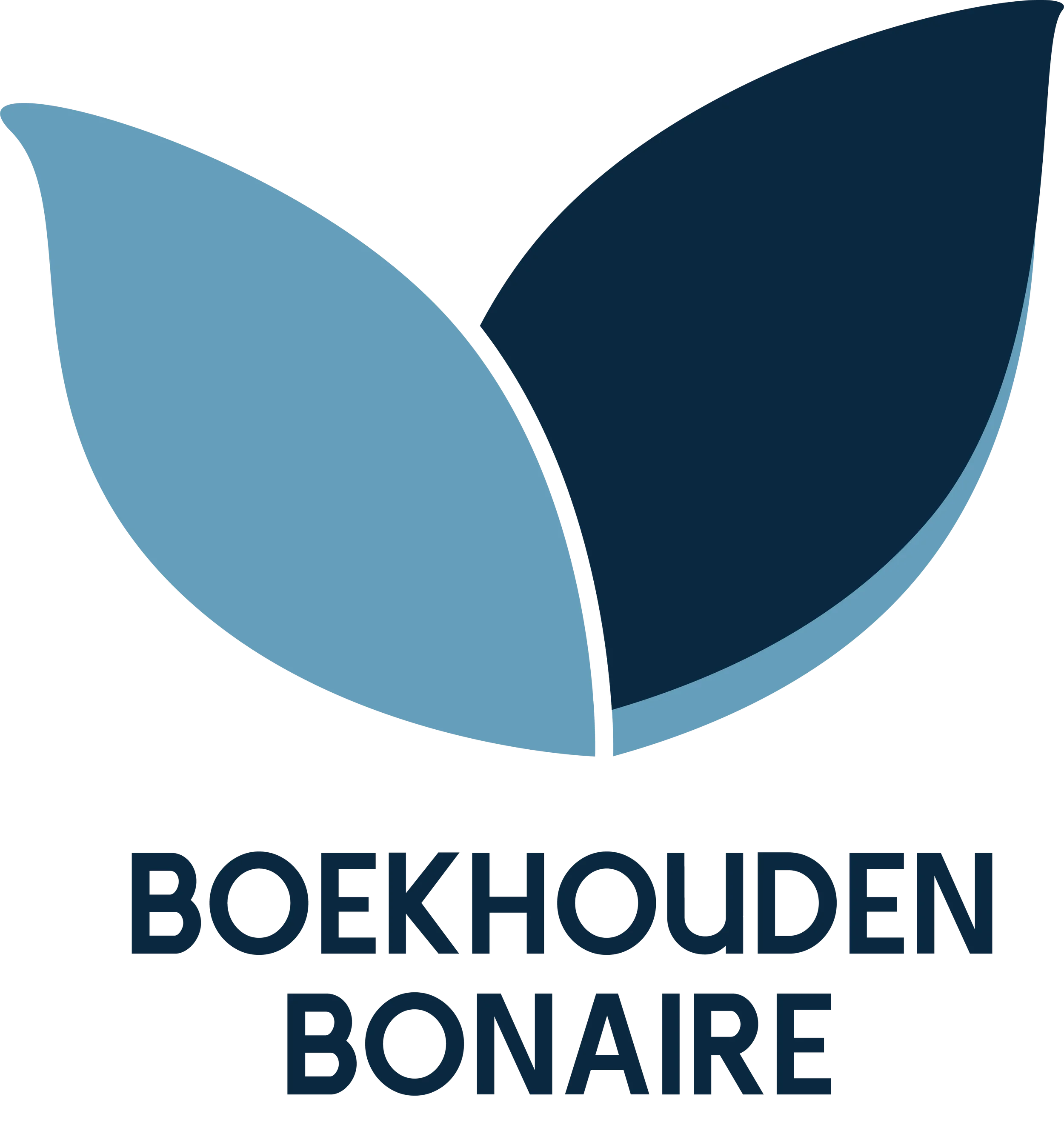 Een logo met drie gekleurde blaadjes en de tekst 'BOEKHONDEN BONAIRE' eronder.