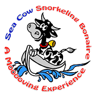 Logo van Sea Cow Snorkeling Boogaloo met een cartoon zeekoe in een boot, omgeven door rode en blauwe tekst.