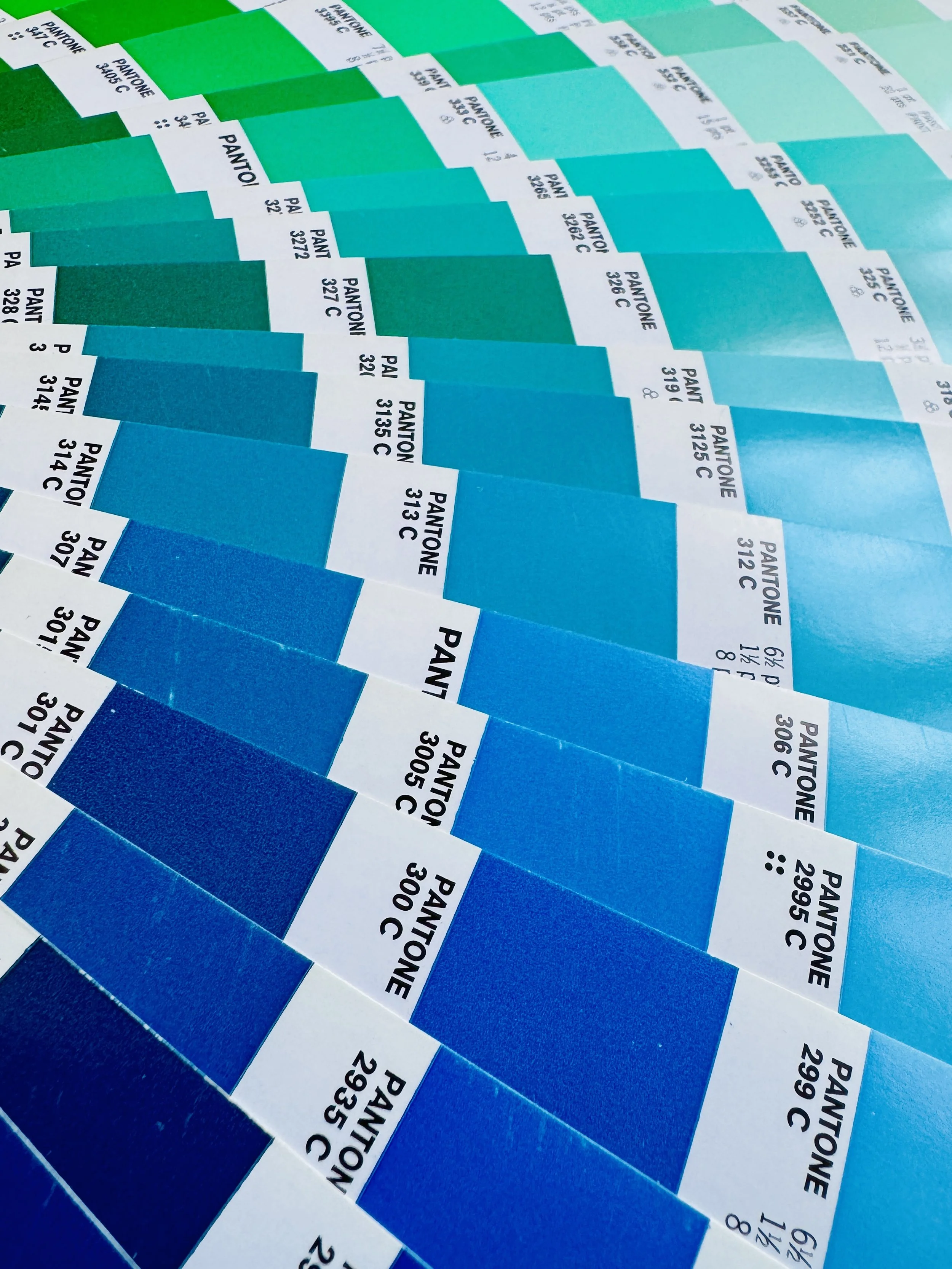 Color With Intention, The Psychology and Emotion Behind Brand Palettes