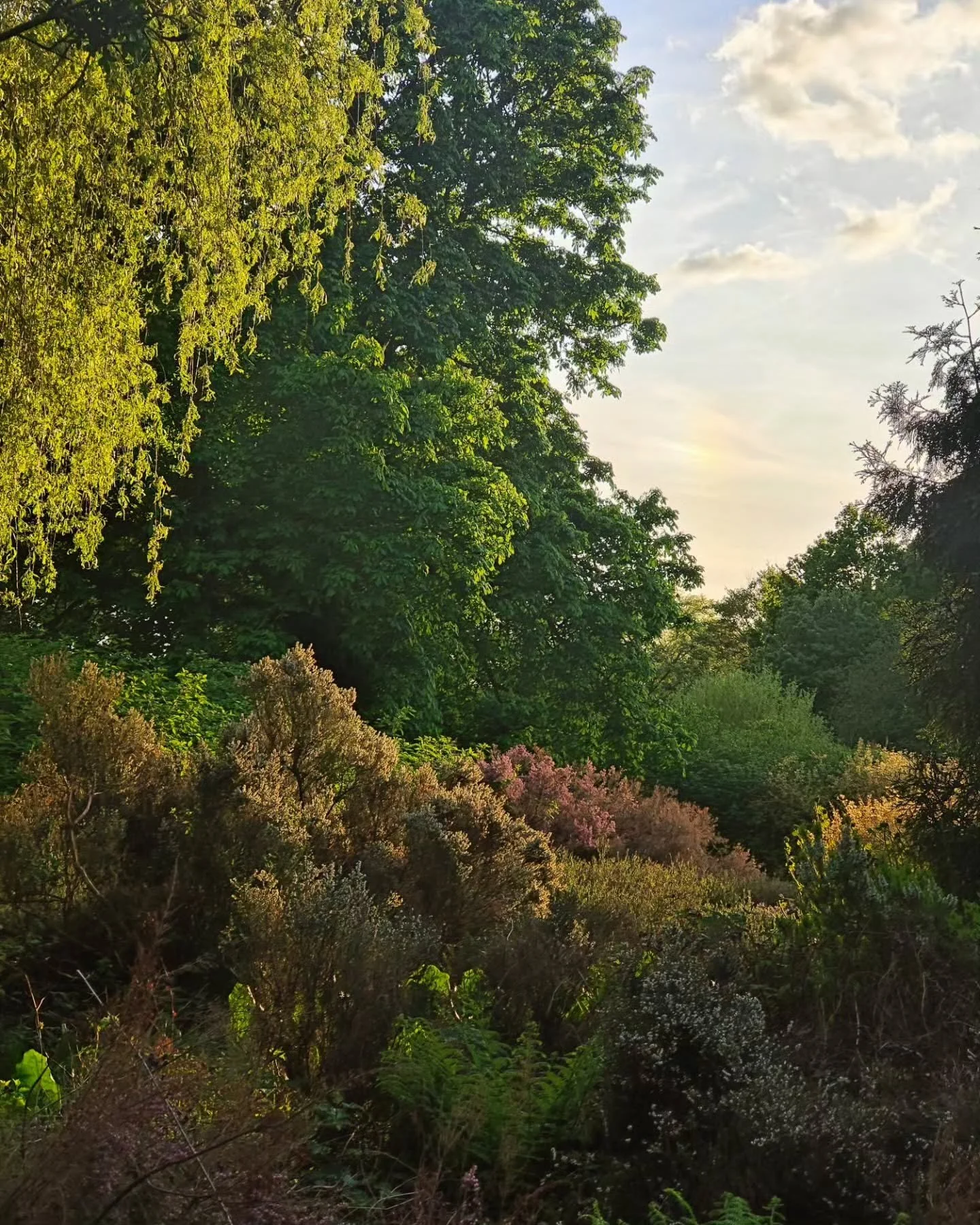 Nature, ever steadfast and true, In her beauty, endless and anew, From the mountains to the sea, She sings a song of eternity.

The trees, the sky, the endless view, All speak of wonders ever true, The sun, the stars, the moon on high, All sing a hym