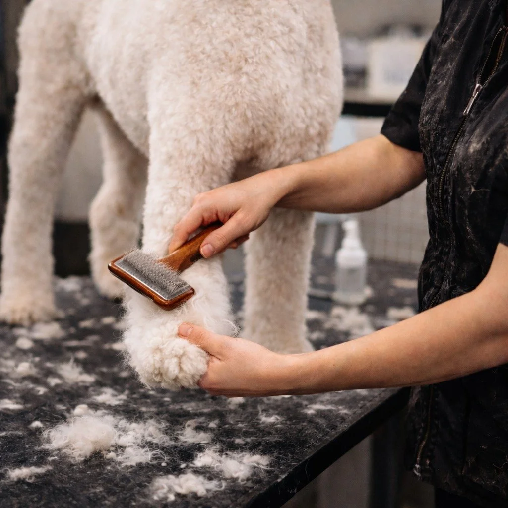 Some days aren&rsquo;t dramatic.
They&rsquo;re just steady.

You show up.
You prep the dog.
You work through the coat.
You stay patient when it would be easier not to.

No big breakthrough.
No big applause.

Just quiet progress.

And sometimes that&r