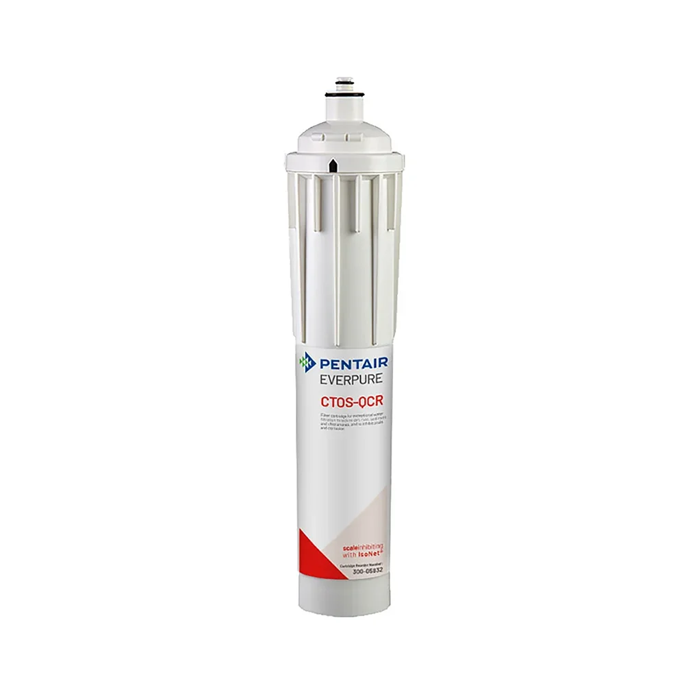 300-05832 Pentair 10-125 psi Water Filter