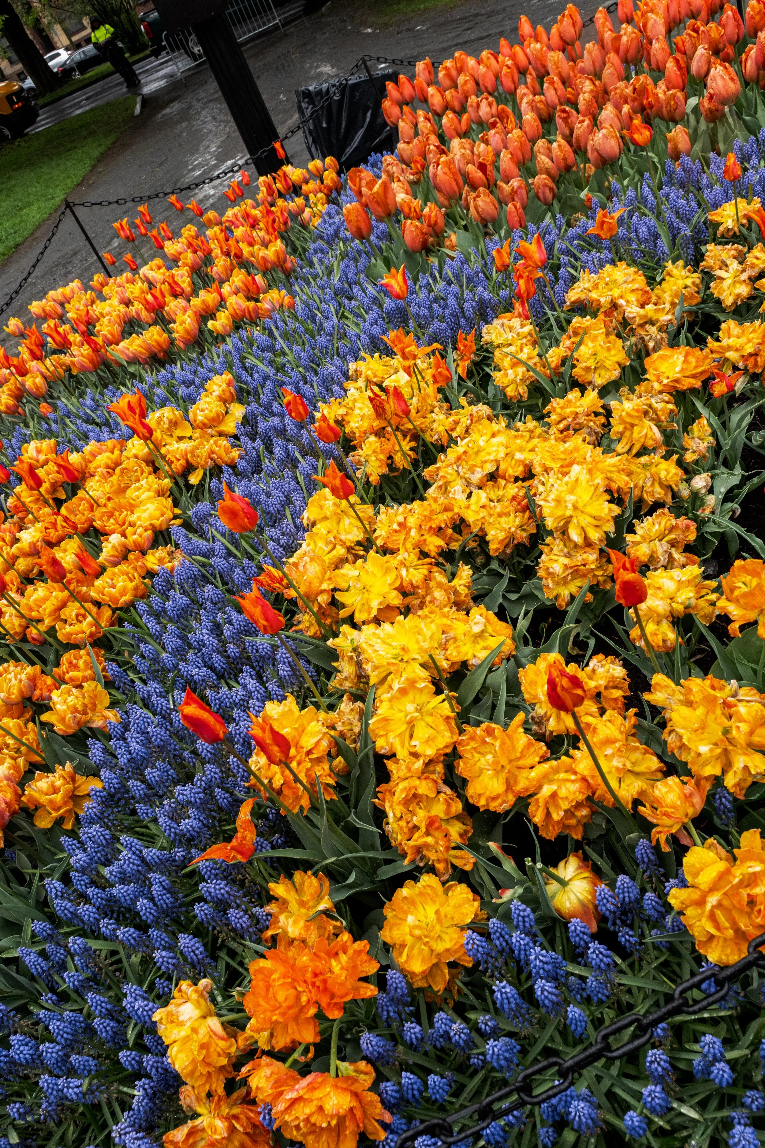 DSCF0371.JPG