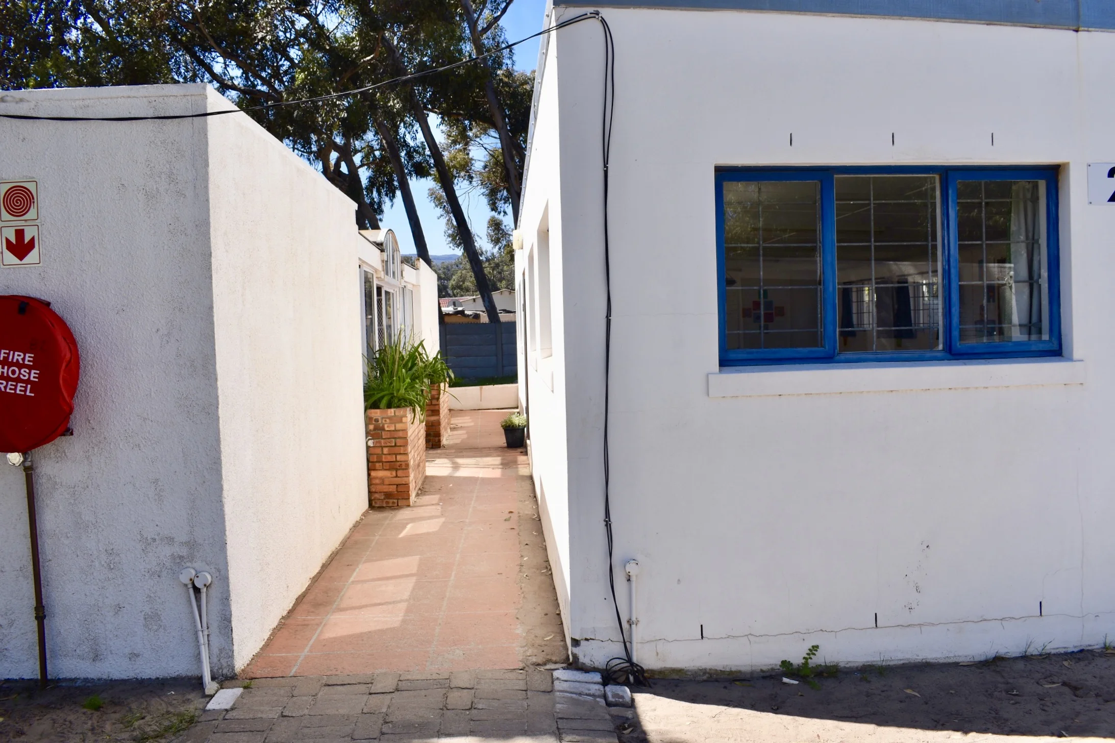 Celebrating the Growth