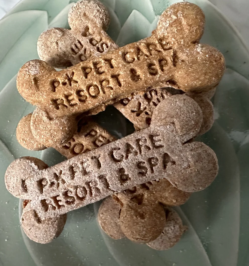 Photo inspiration: Visual Reference: P K Pet Resort Spa