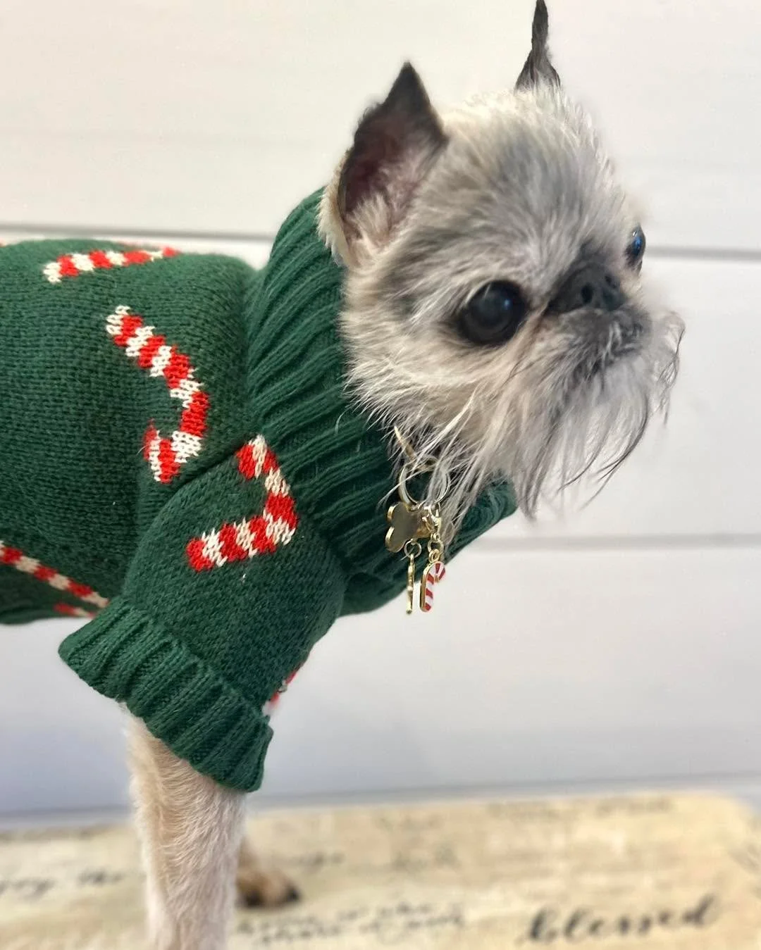 It&rsquo;s Frodo&rsquo;s 12 Days of Christmas Fashion Show!

Stay tuned for the next two weeks of once a day trends fuck, baby