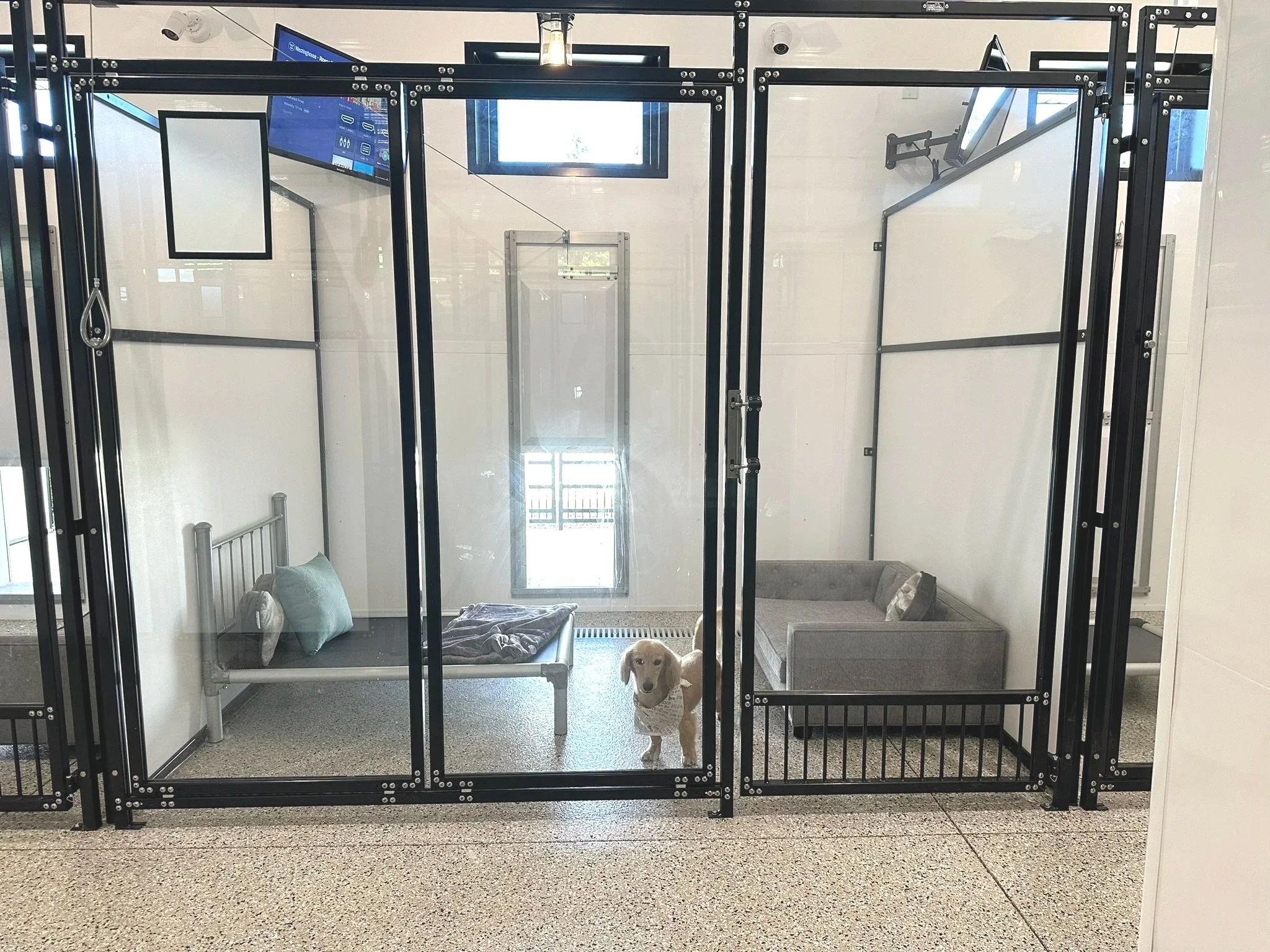 An indoor pet kennel with a small dog standing inside, surrounded by transparent glass panels framed by black metal. The kennel has a small bed and a gray sofa inside, with a window and a screen monitor visible on the wall.