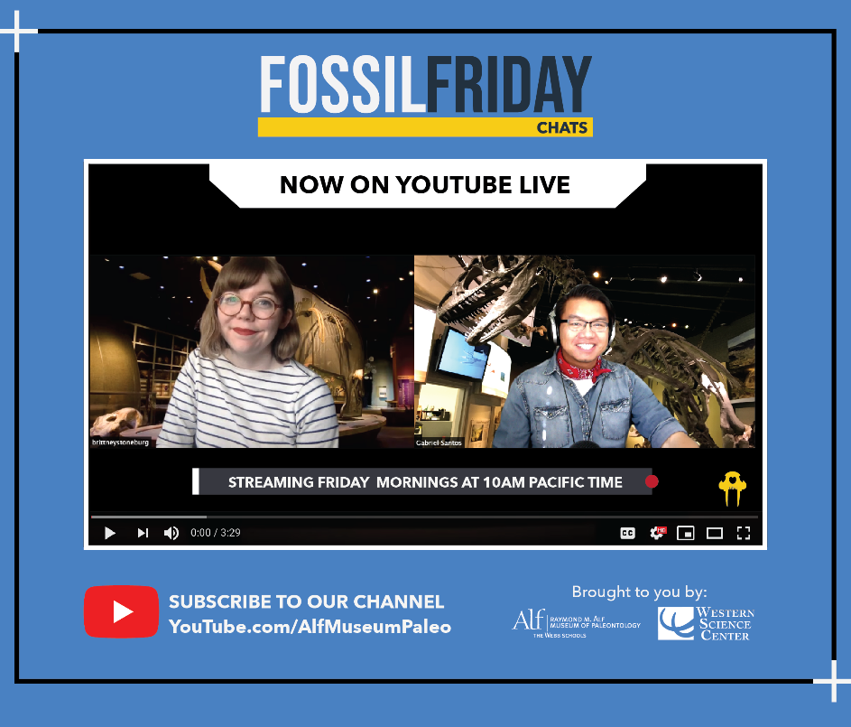 fossil friday chats.PNG