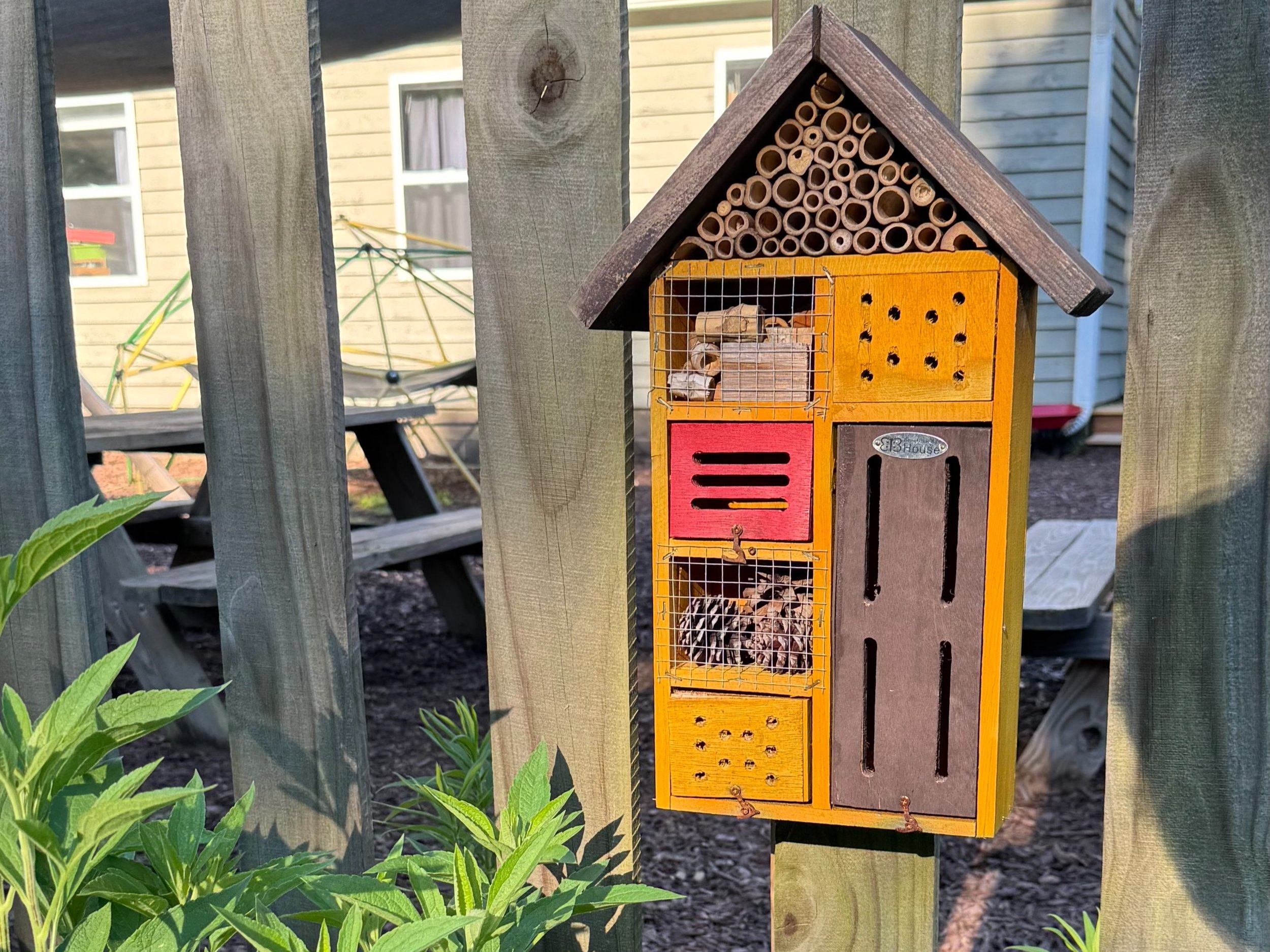 Pollinator+habitat.jpg