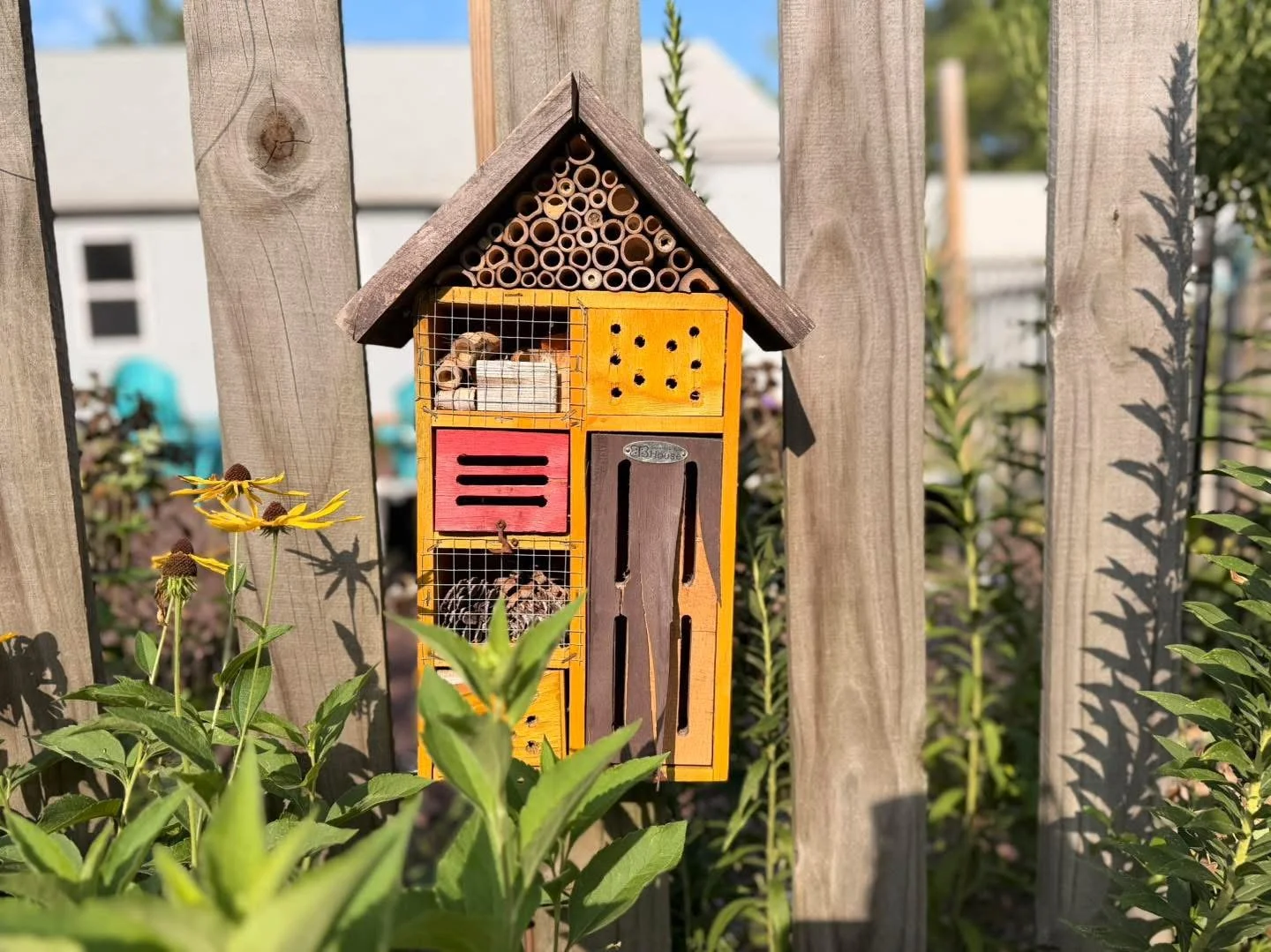 HCA Garden Creature Habitat